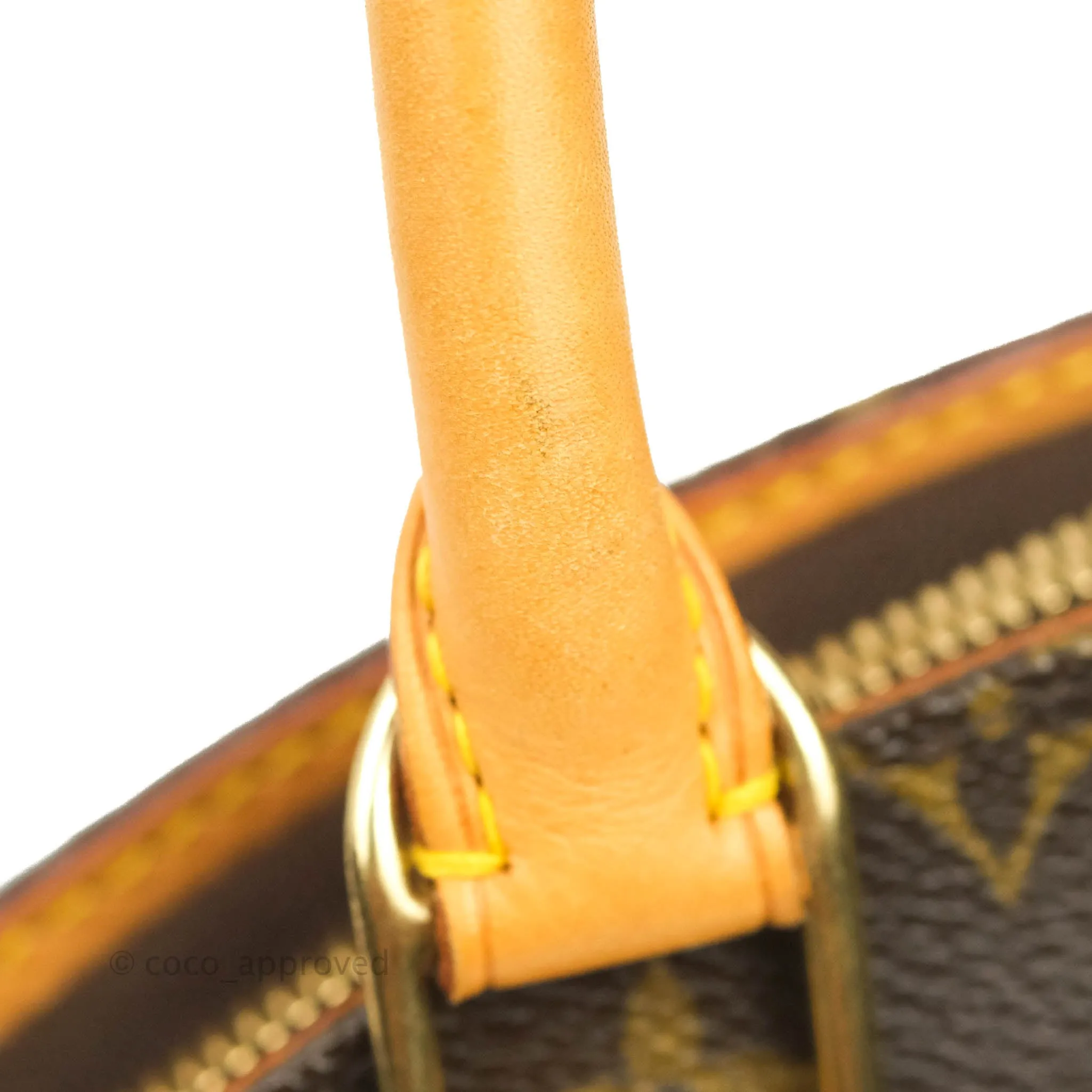 Louis Vuitton Ellipse Bag PM Monogram Canvas