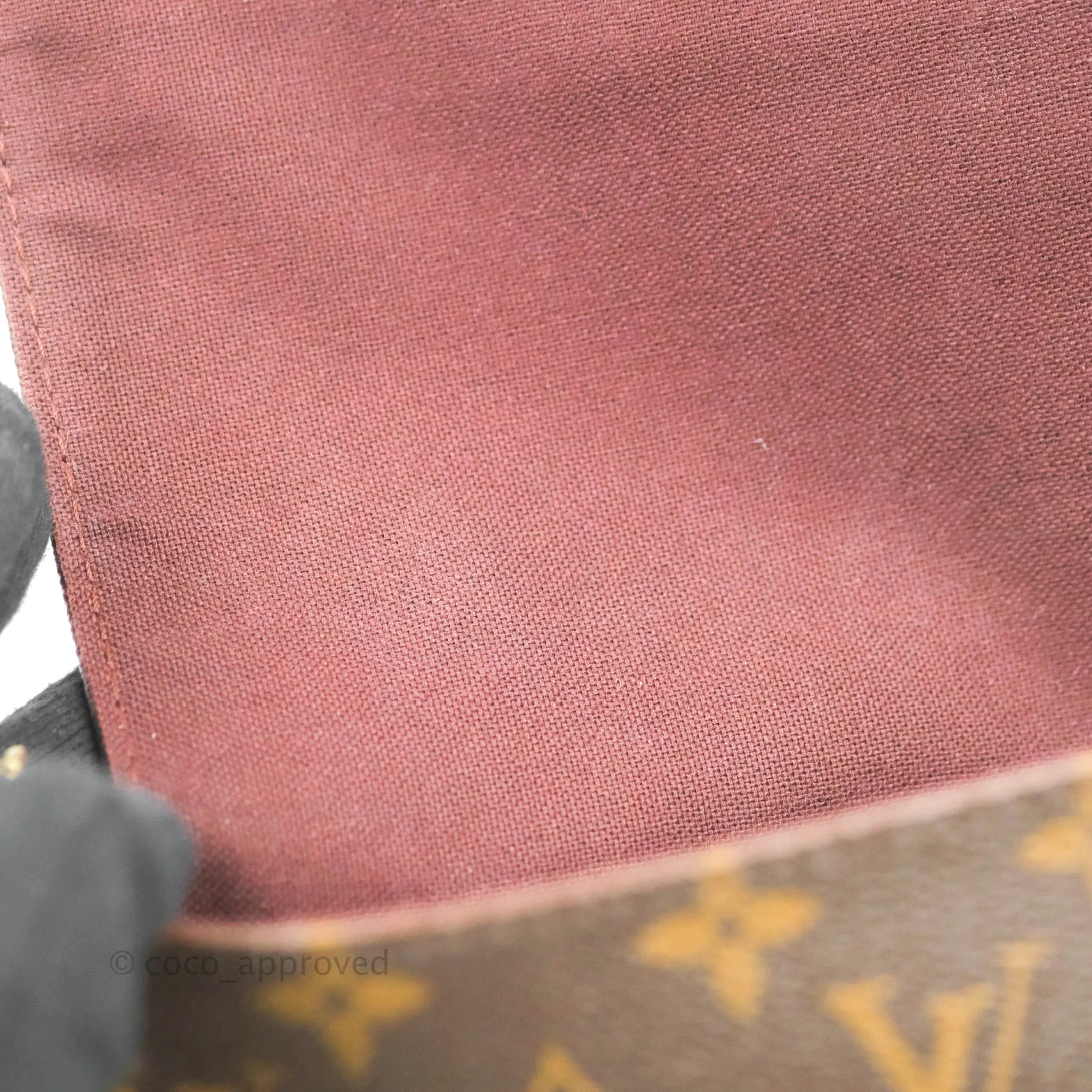 Louis Vuitton Favourite Bag PM Monogram