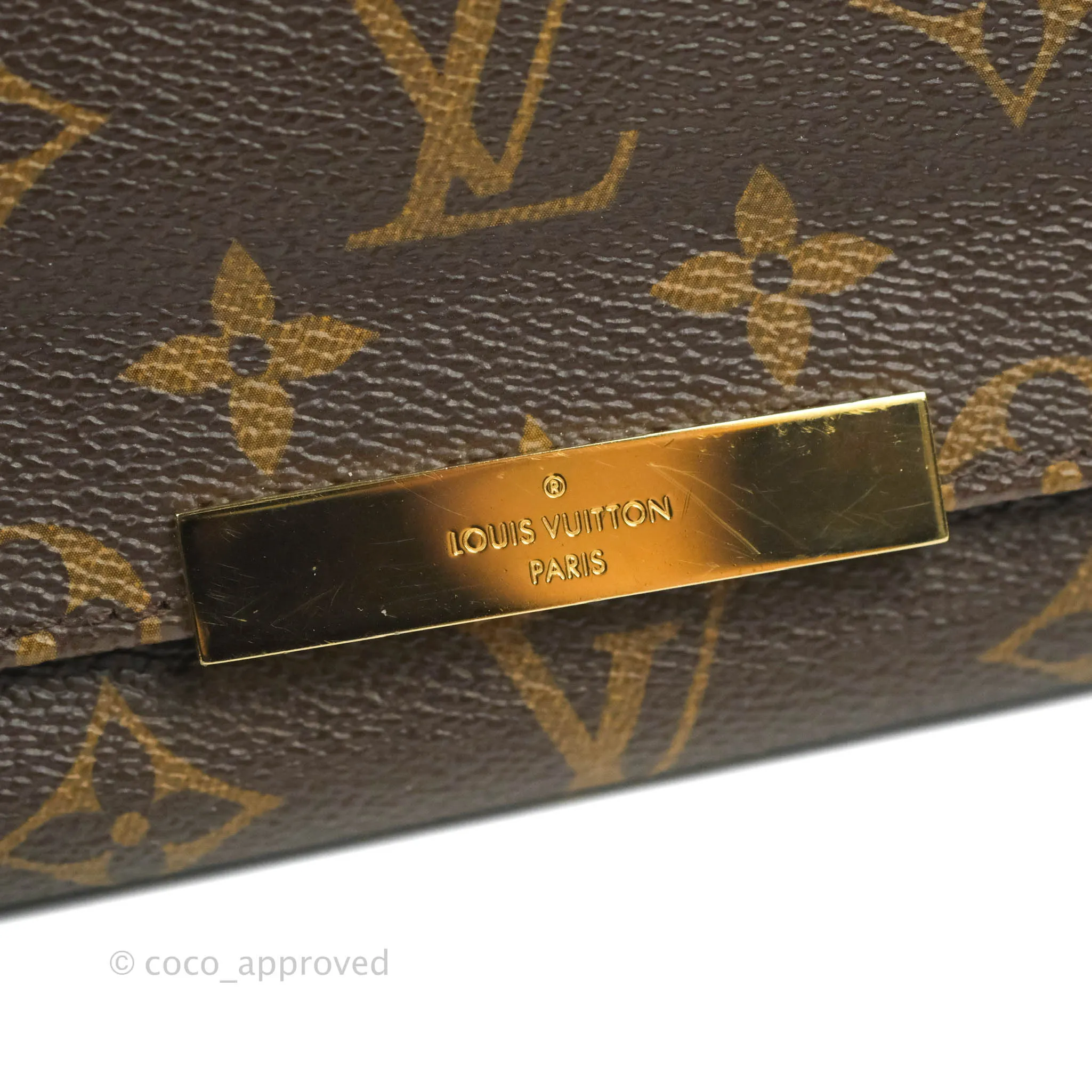 Louis Vuitton Favourite Bag PM Monogram