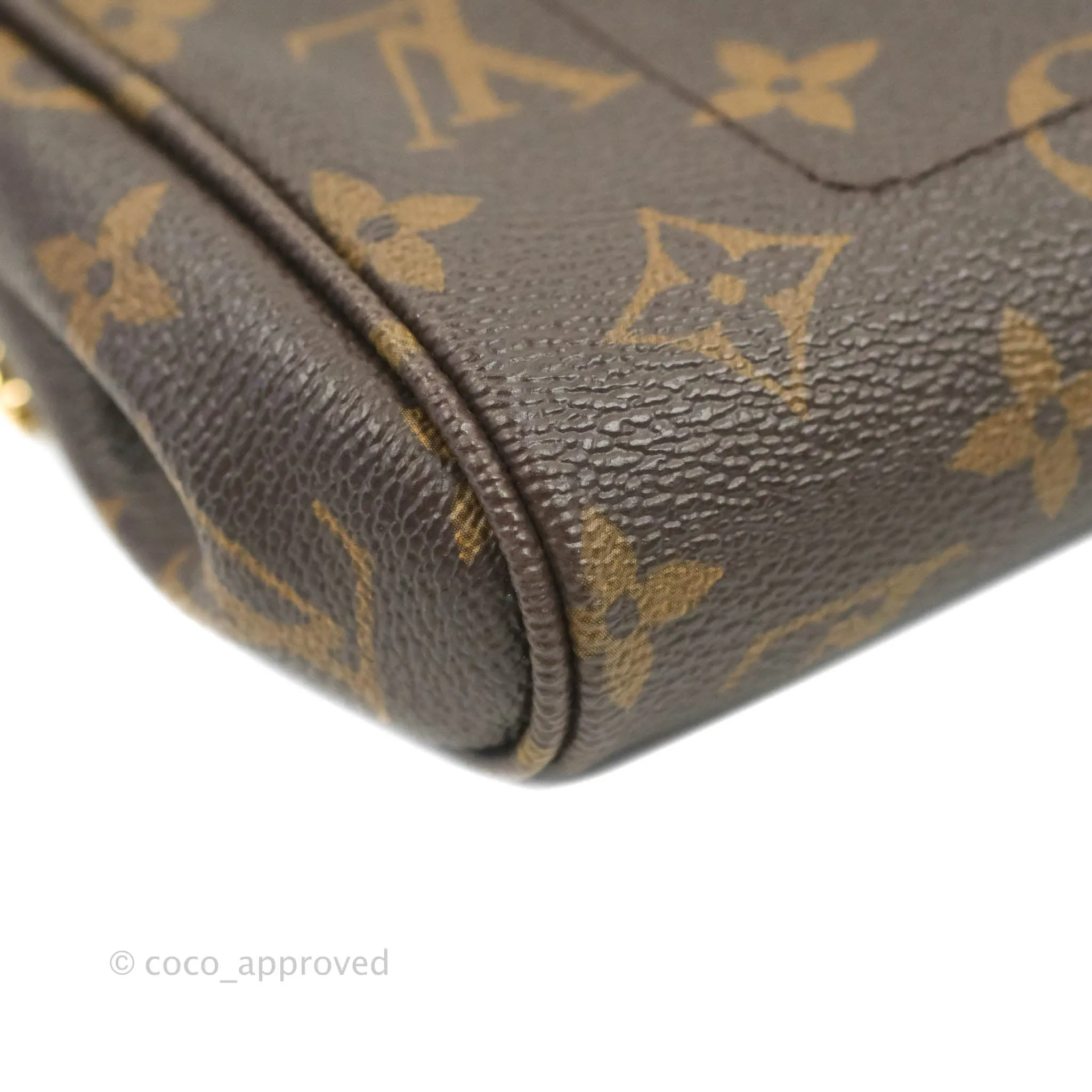 Louis Vuitton Favourite Bag PM Monogram