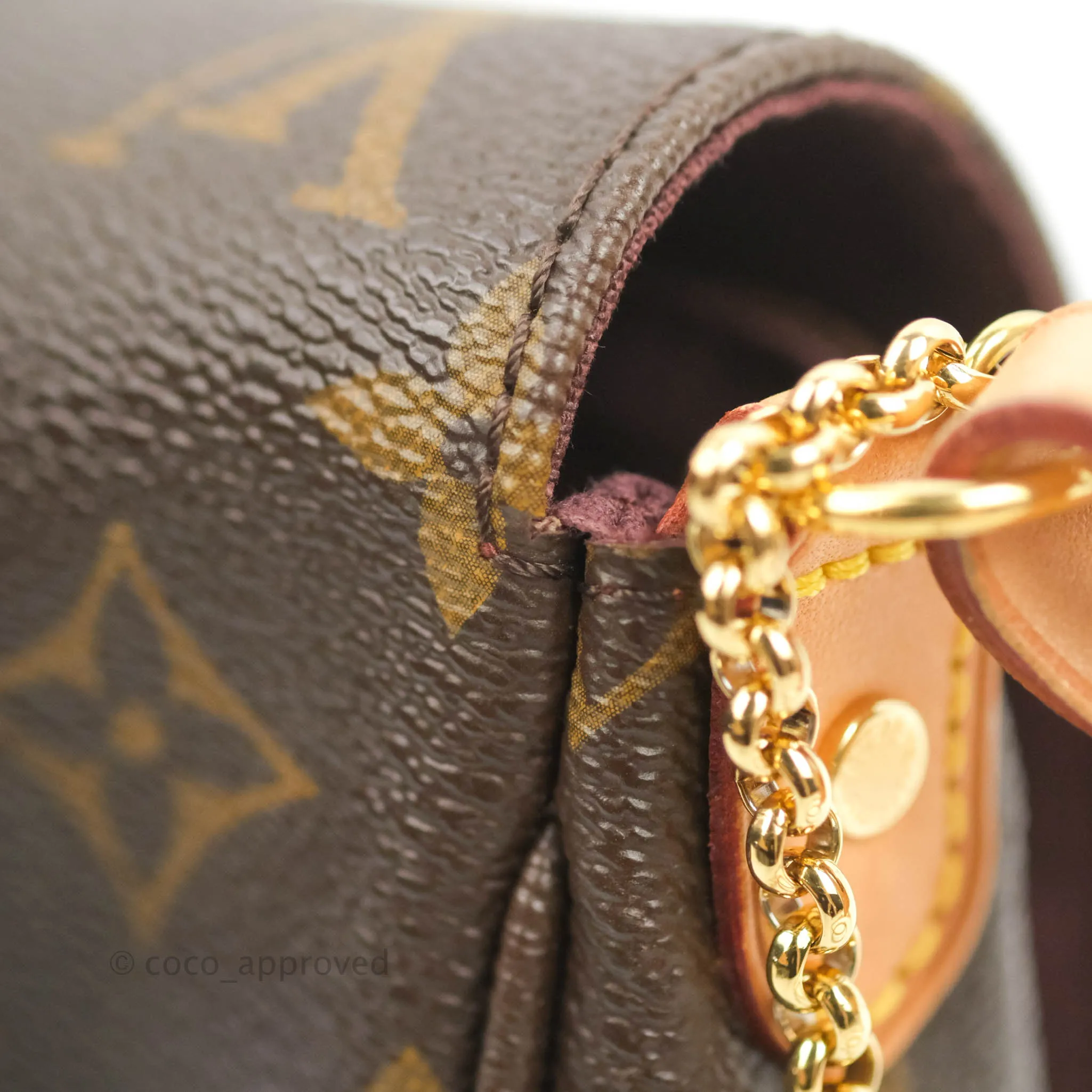 Louis Vuitton Favourite Bag PM Monogram