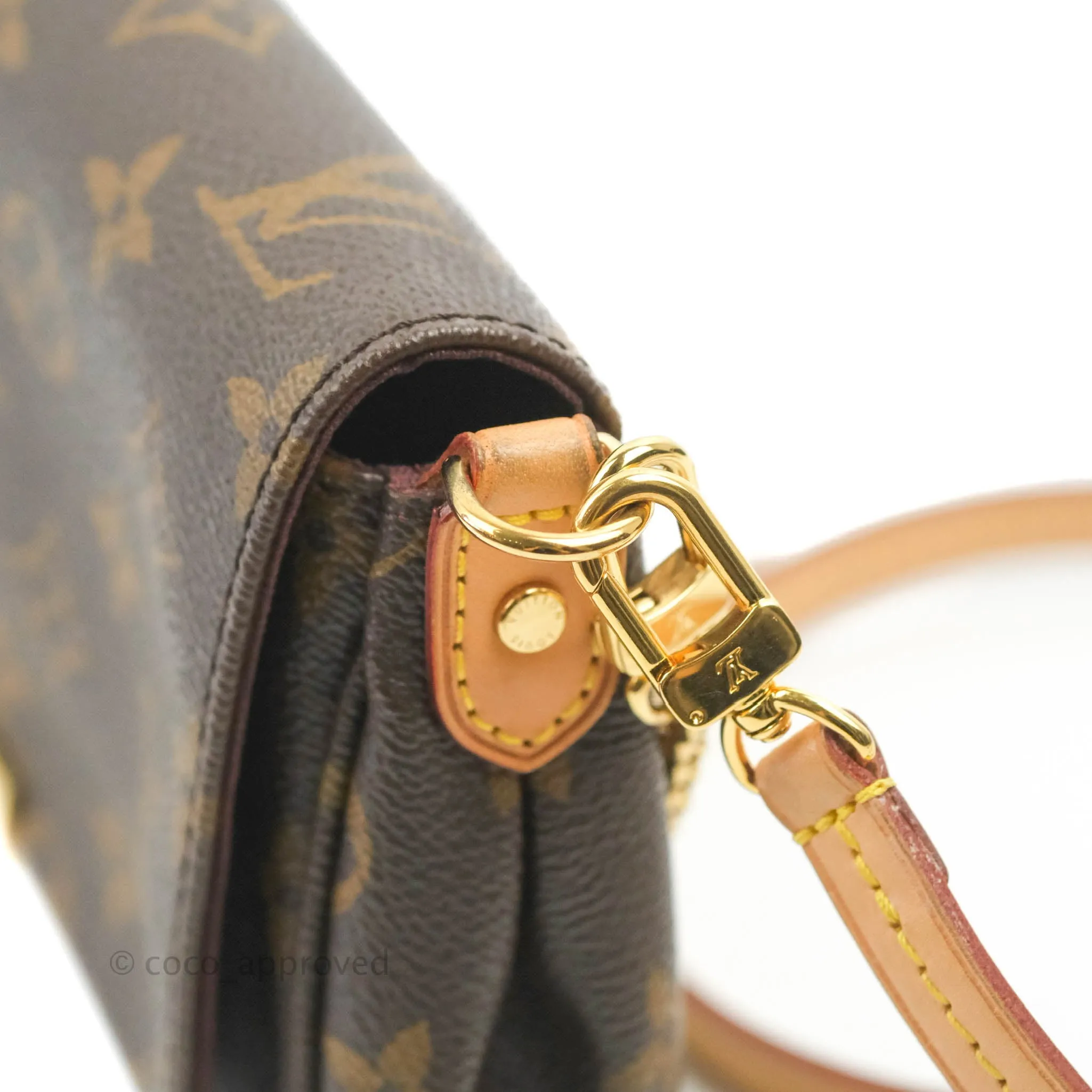Louis Vuitton Favourite Bag PM Monogram
