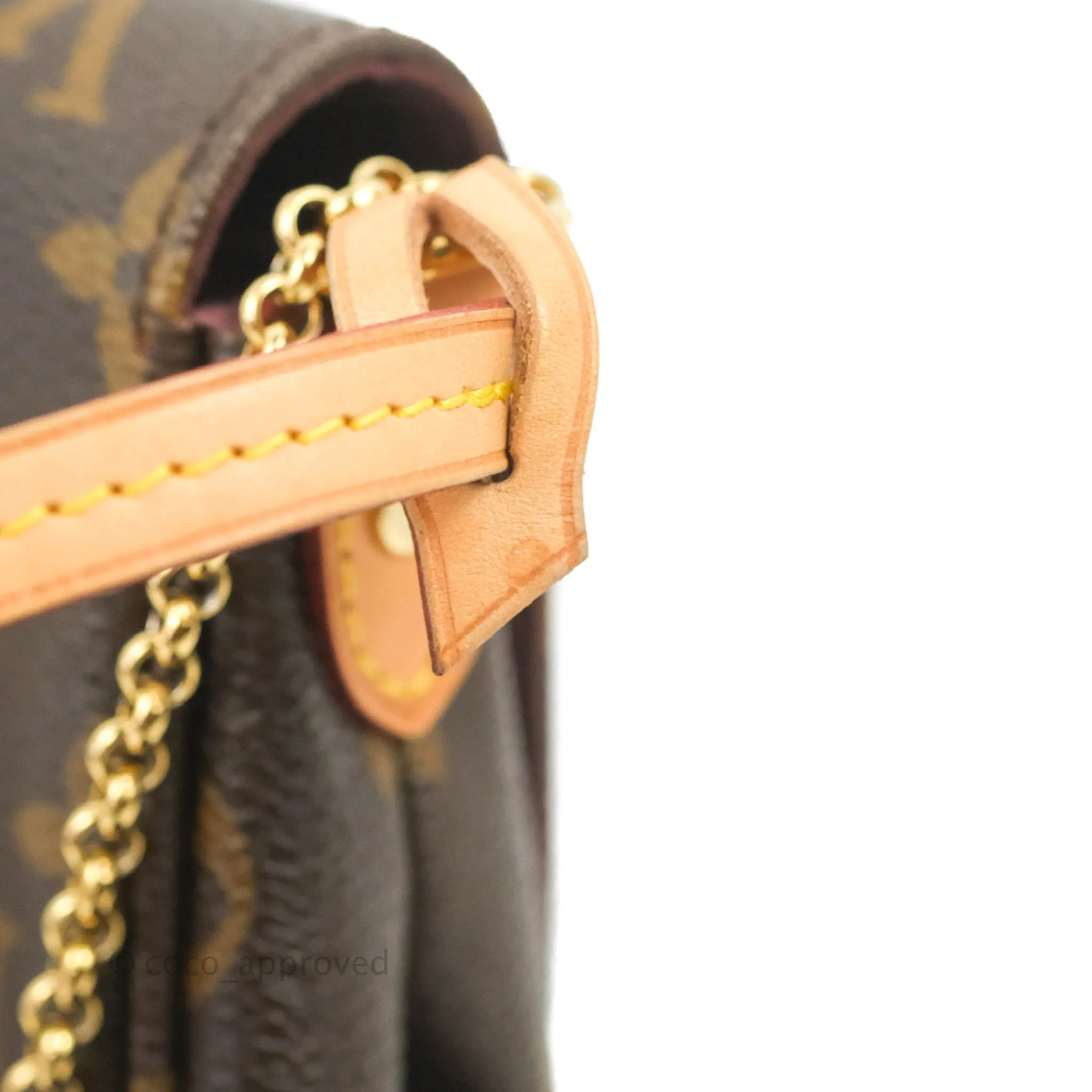 Louis Vuitton Favourite Bag PM Monogram