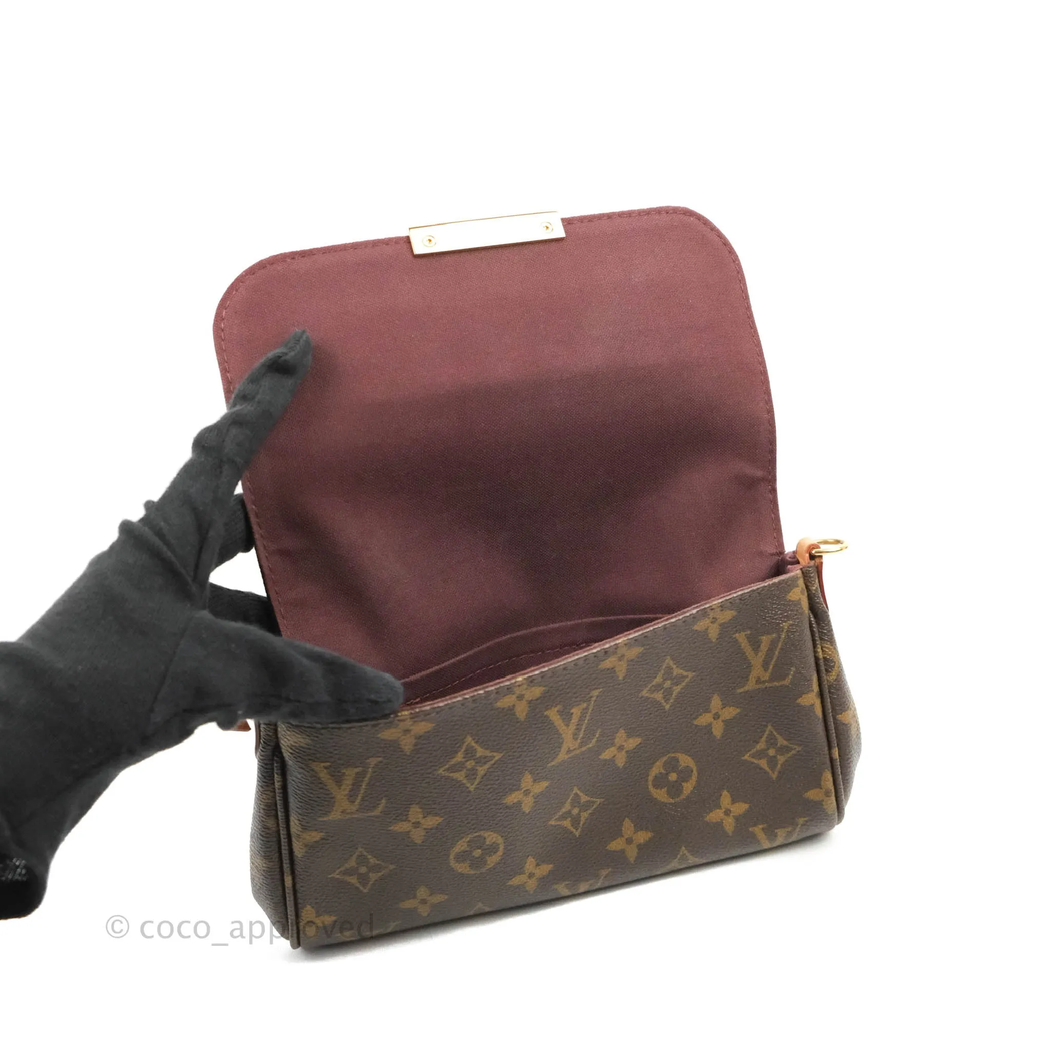 Louis Vuitton Favourite Bag PM Monogram
