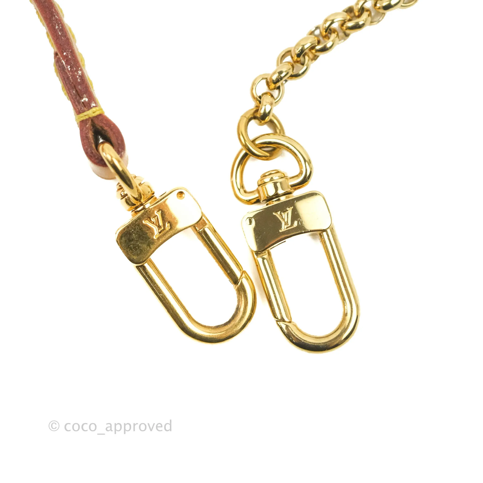 Louis Vuitton Favourite Bag PM Monogram