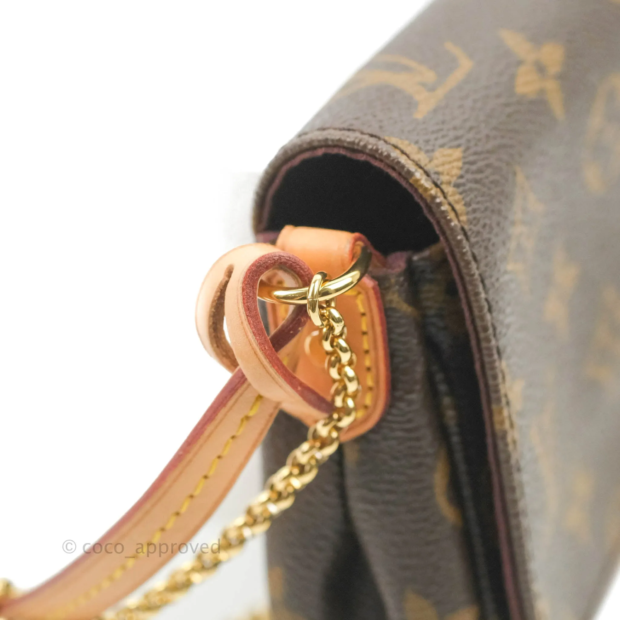 Louis Vuitton Favourite Bag PM Monogram
