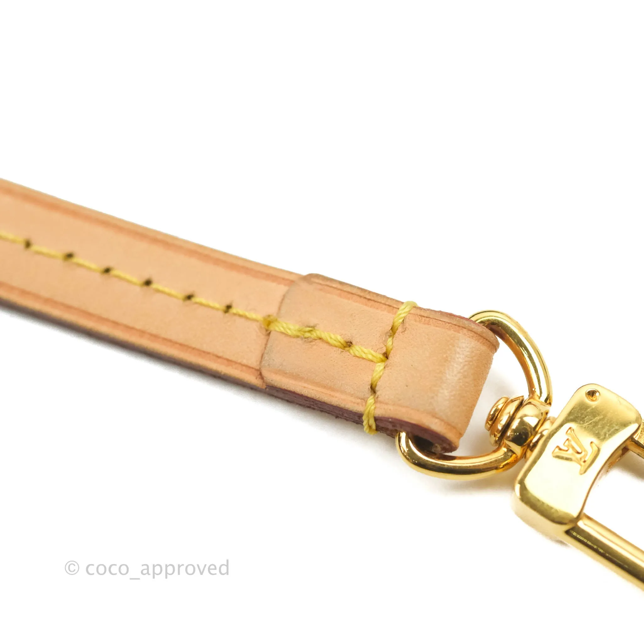 Louis Vuitton Favourite Bag PM Monogram