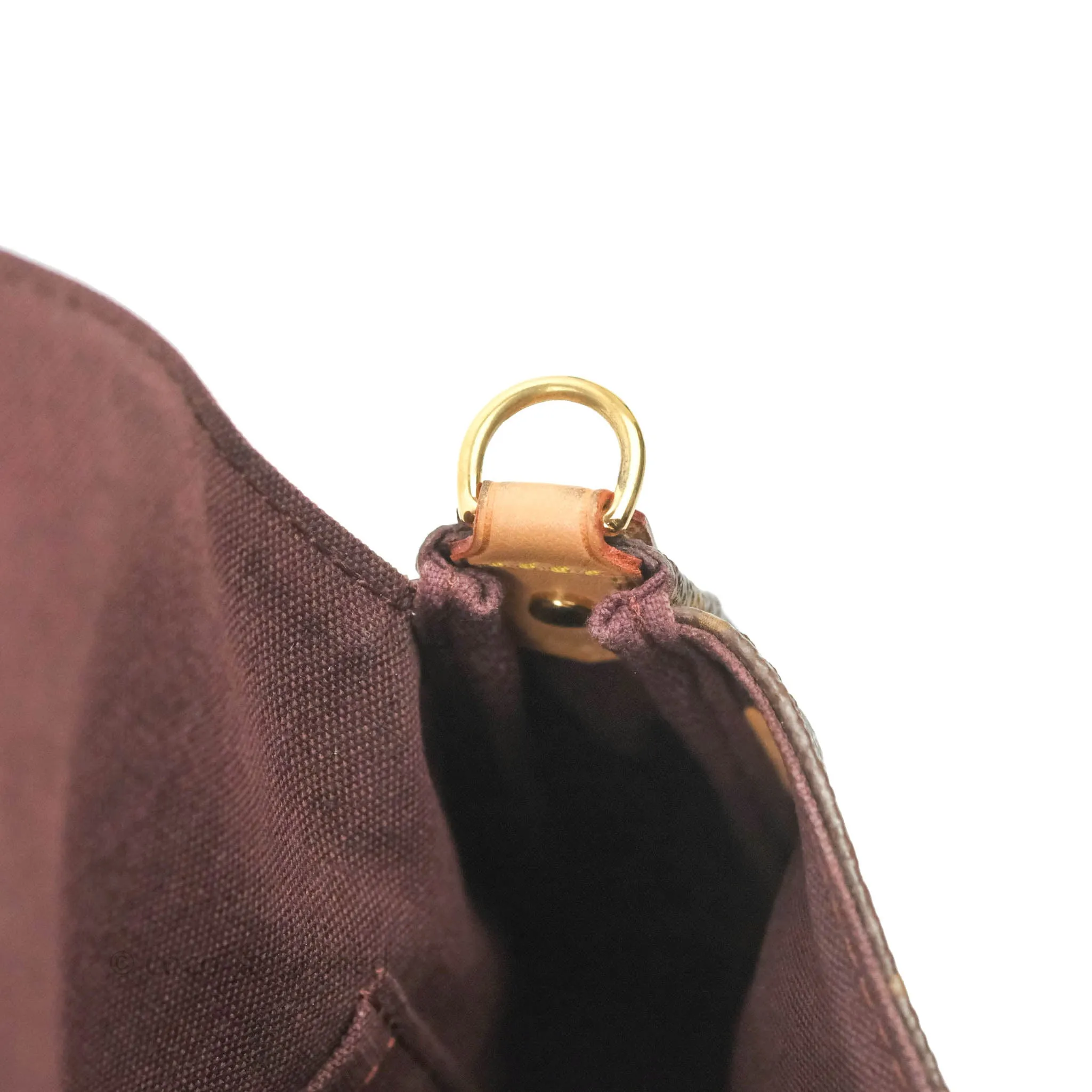 Louis Vuitton Favourite Bag PM Monogram