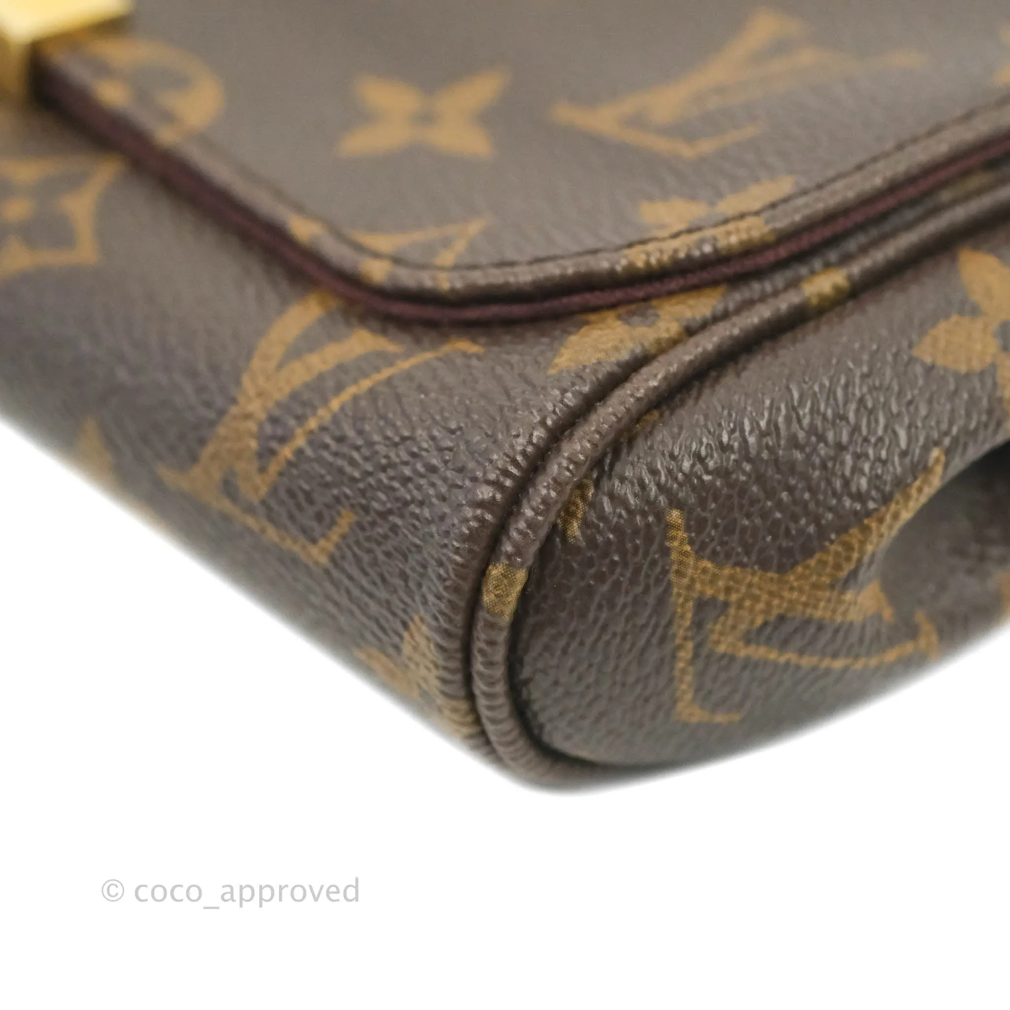 Louis Vuitton Favourite Bag PM Monogram