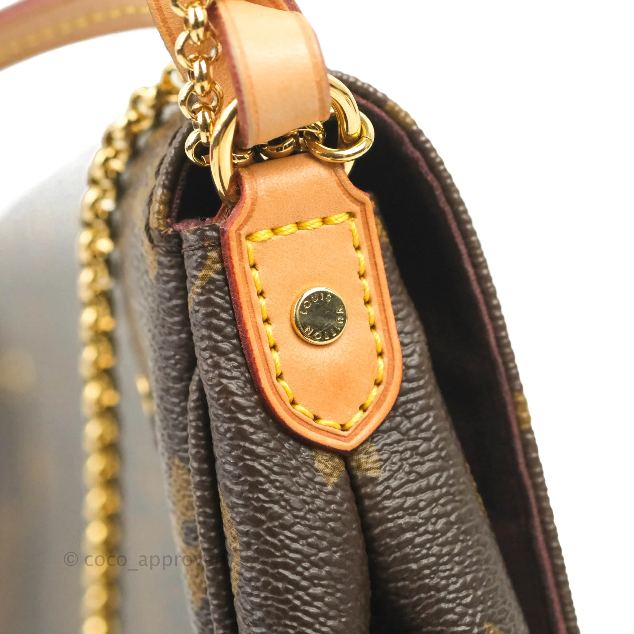 Louis Vuitton Favourite Bag PM Monogram