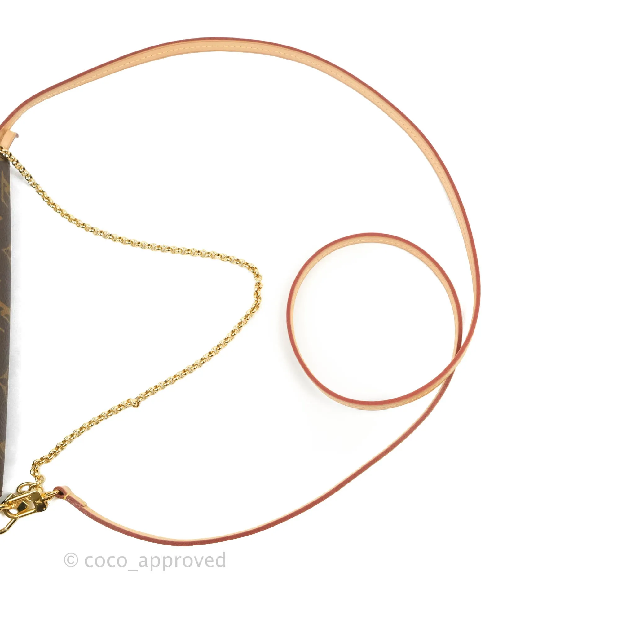 Louis Vuitton Favourite Bag PM Monogram