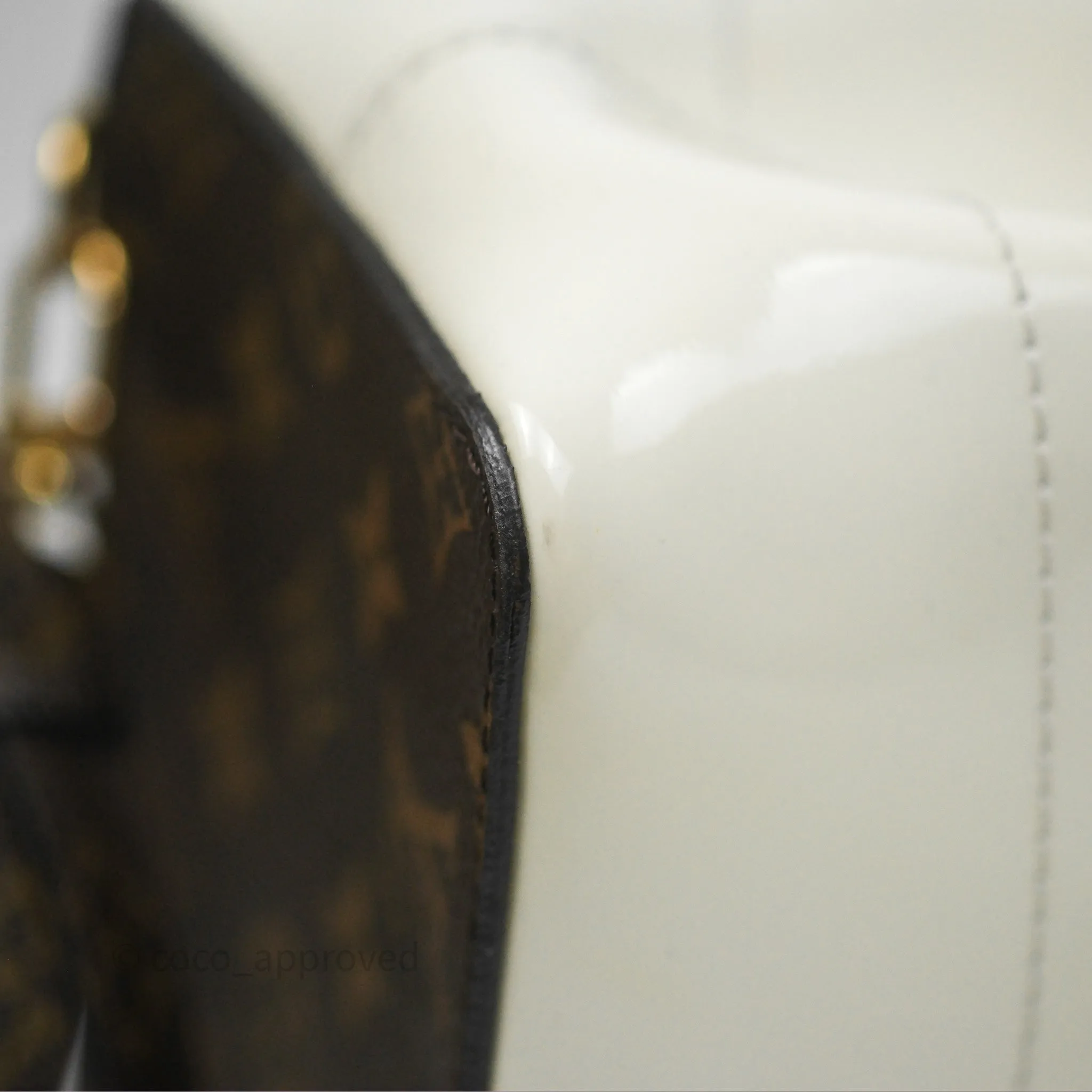 Louis Vuitton Hot Springs Backpack Monogram Patent Snow