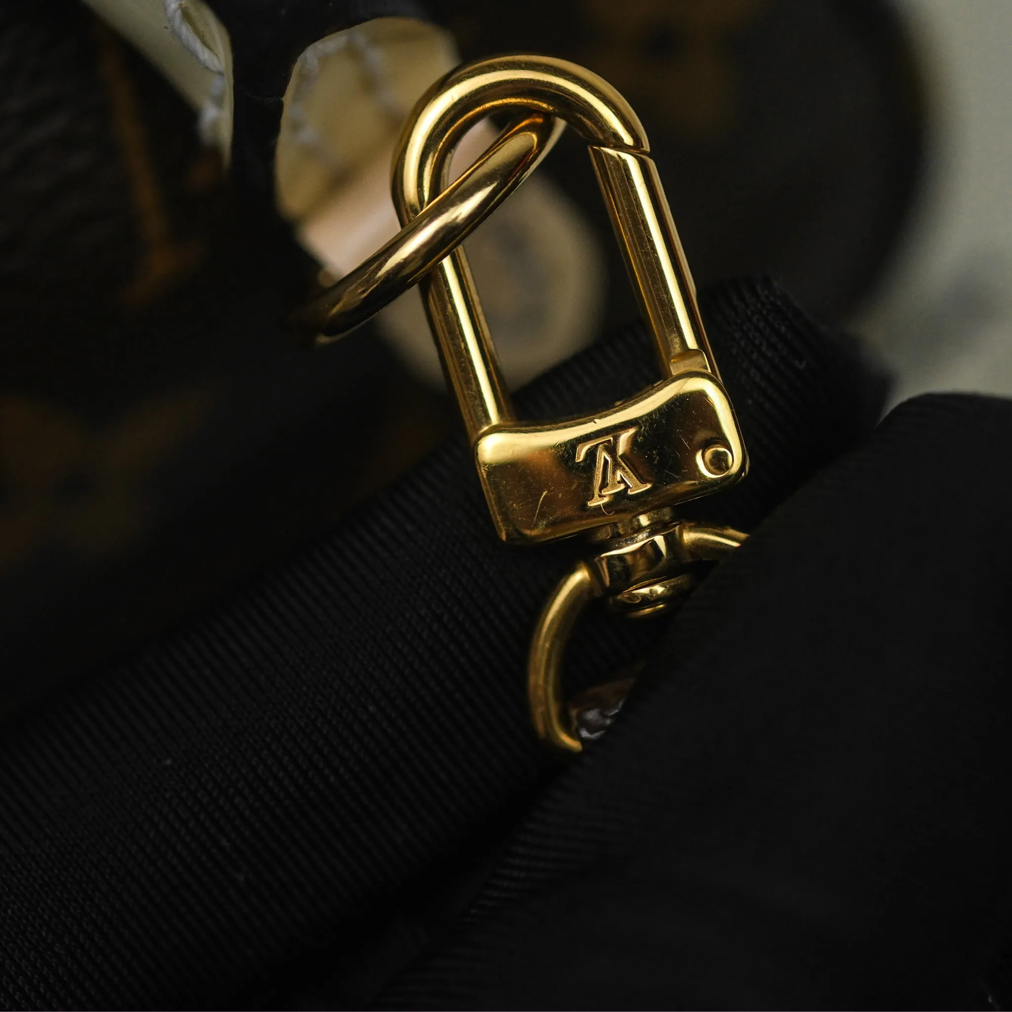 Louis Vuitton Hot Springs Backpack Monogram Patent Snow