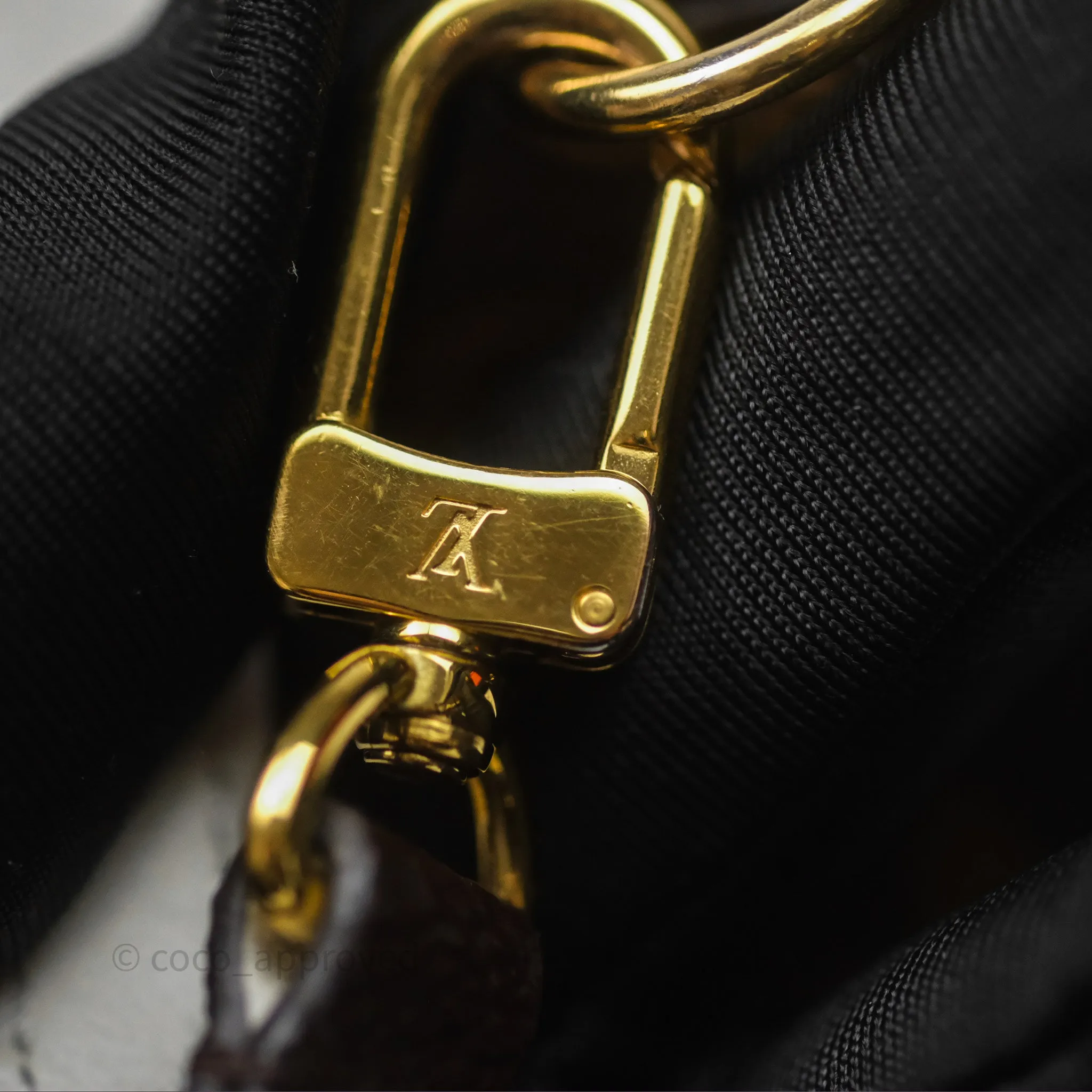 Louis Vuitton Hot Springs Backpack Monogram Patent Snow