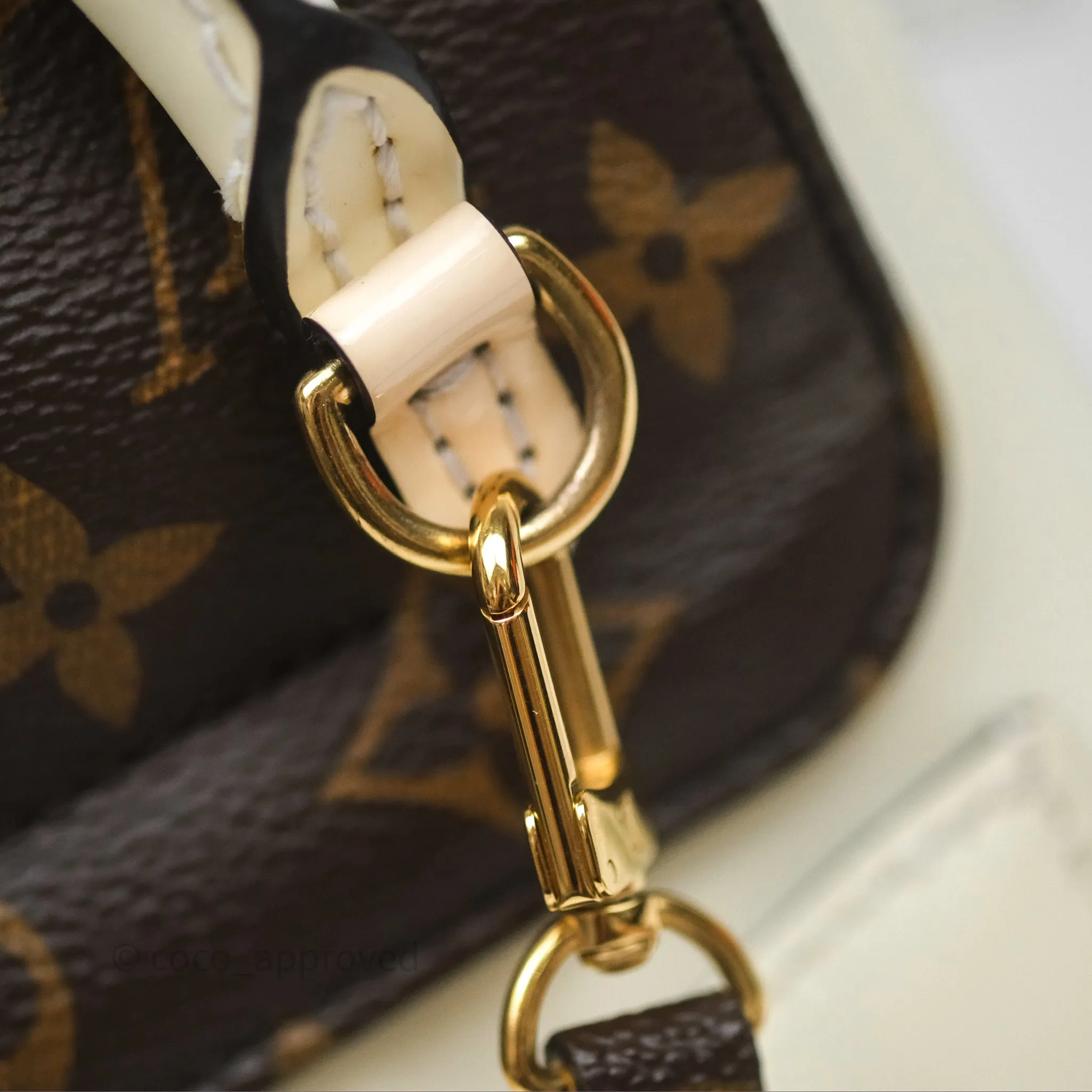 Louis Vuitton Hot Springs Backpack Monogram Patent Snow