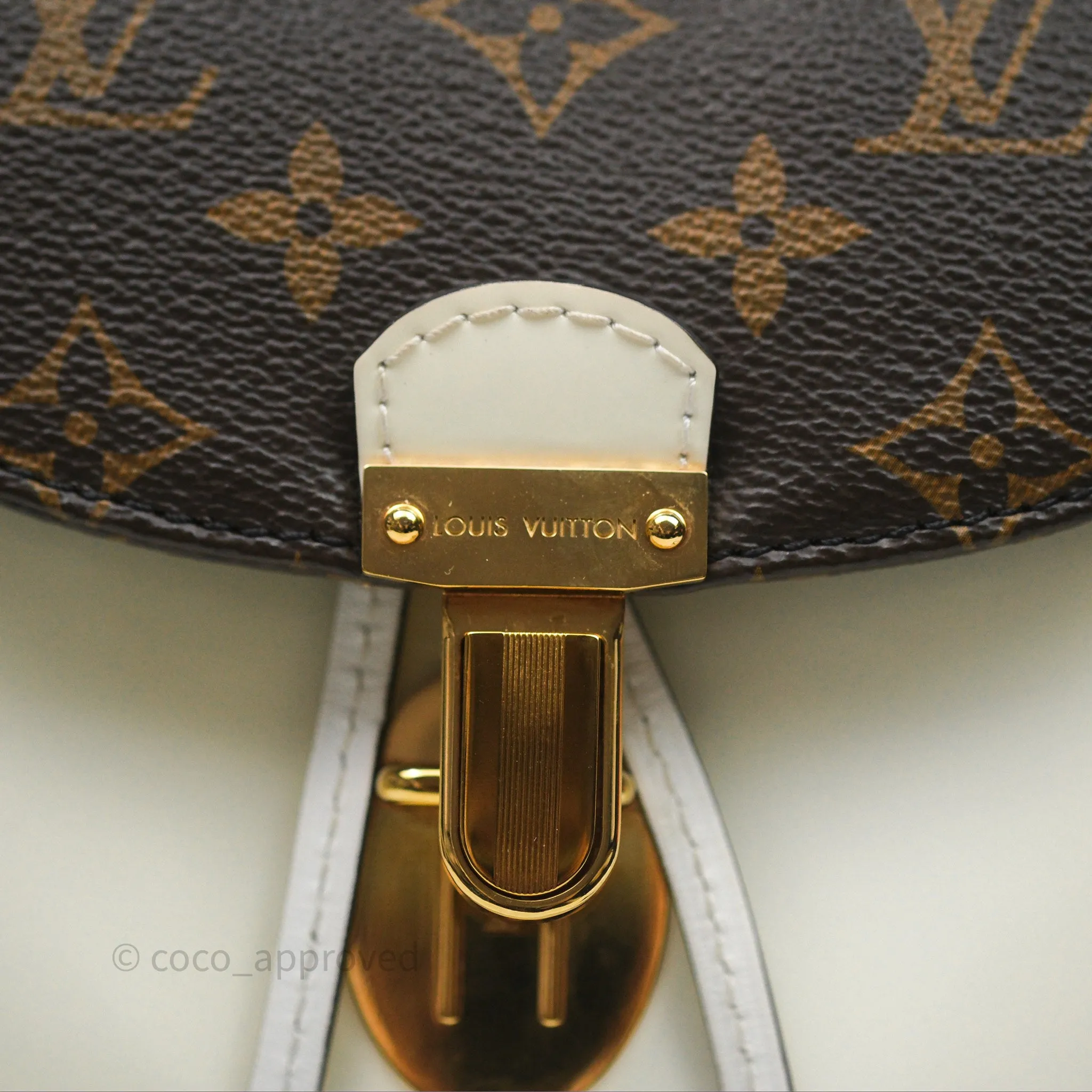Louis Vuitton Hot Springs Backpack Monogram Patent Snow