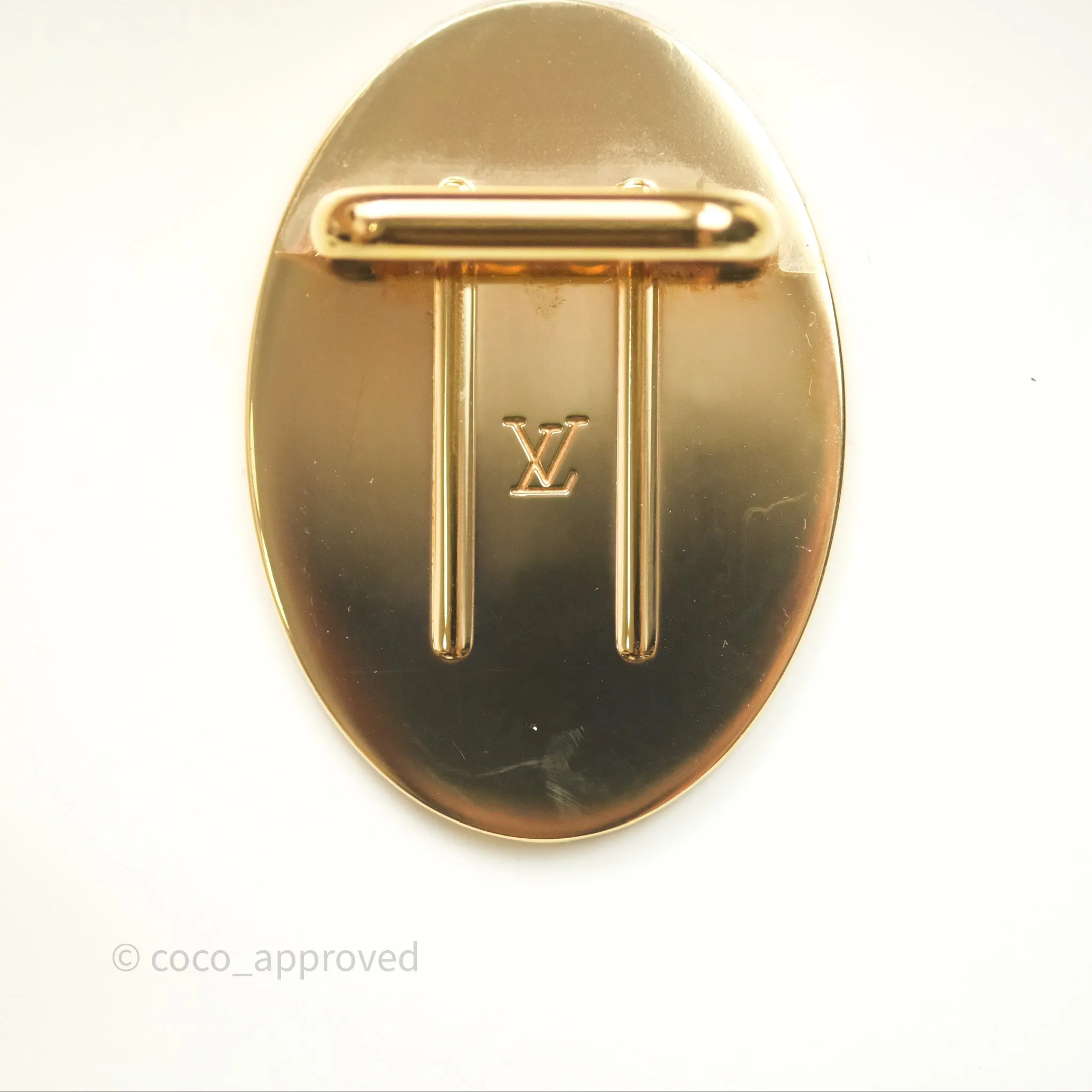 Louis Vuitton Hot Springs Backpack Monogram Patent Snow