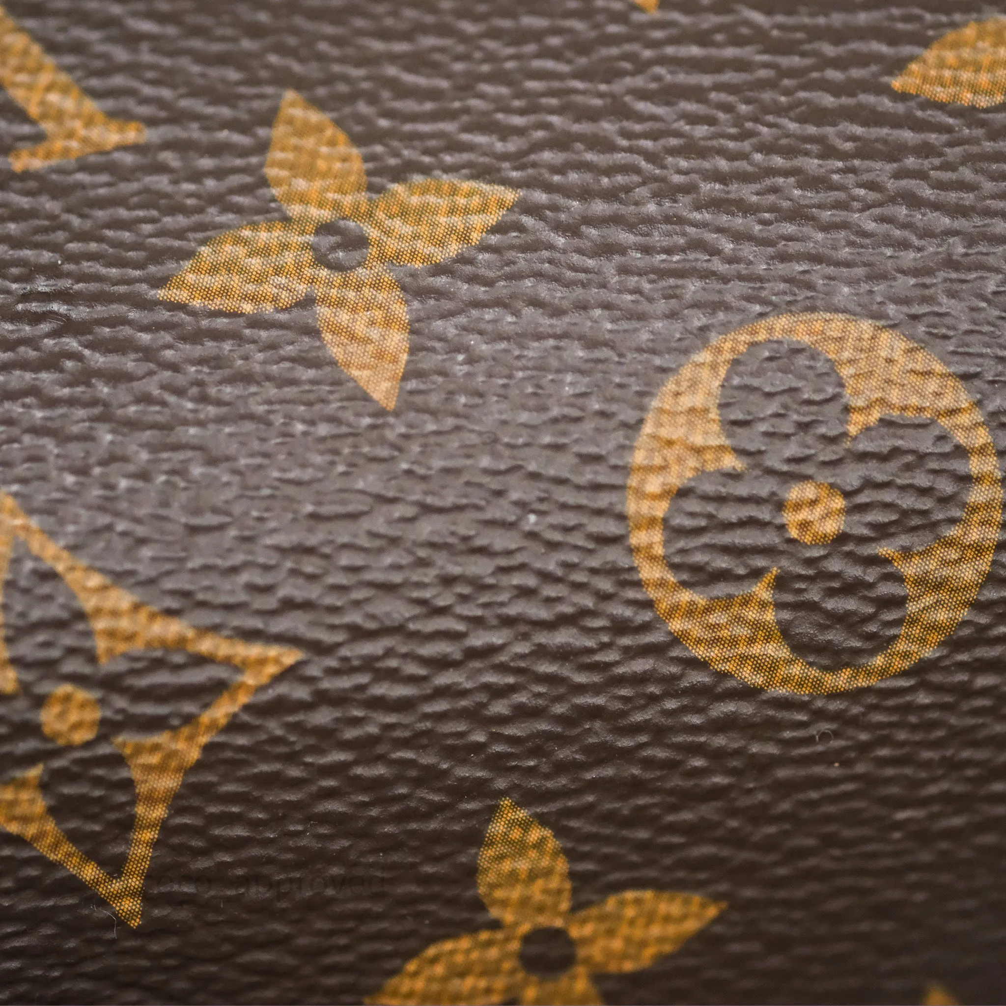 Louis Vuitton Hot Springs Backpack Monogram Patent Snow