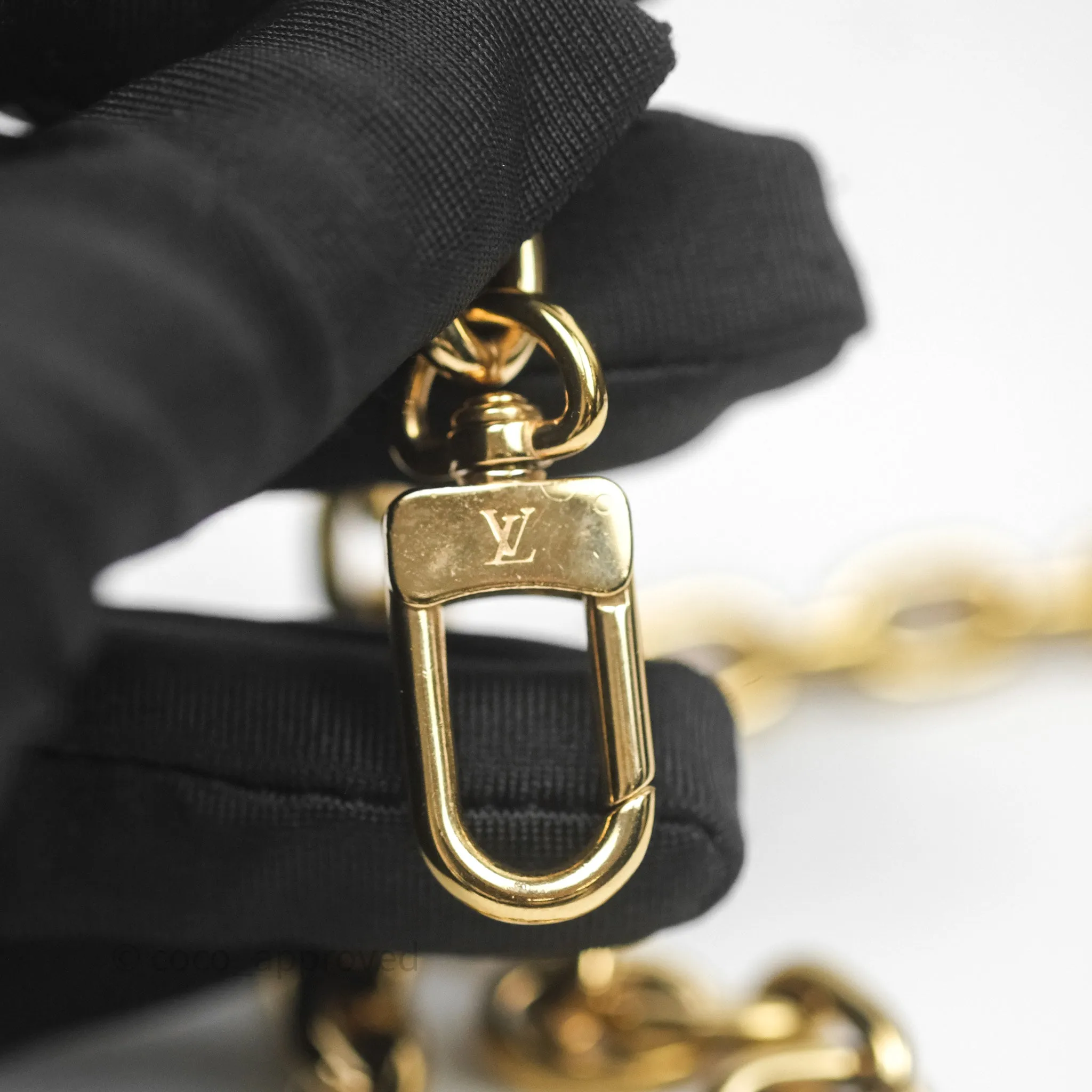 Louis Vuitton Loop Monogram Canvas