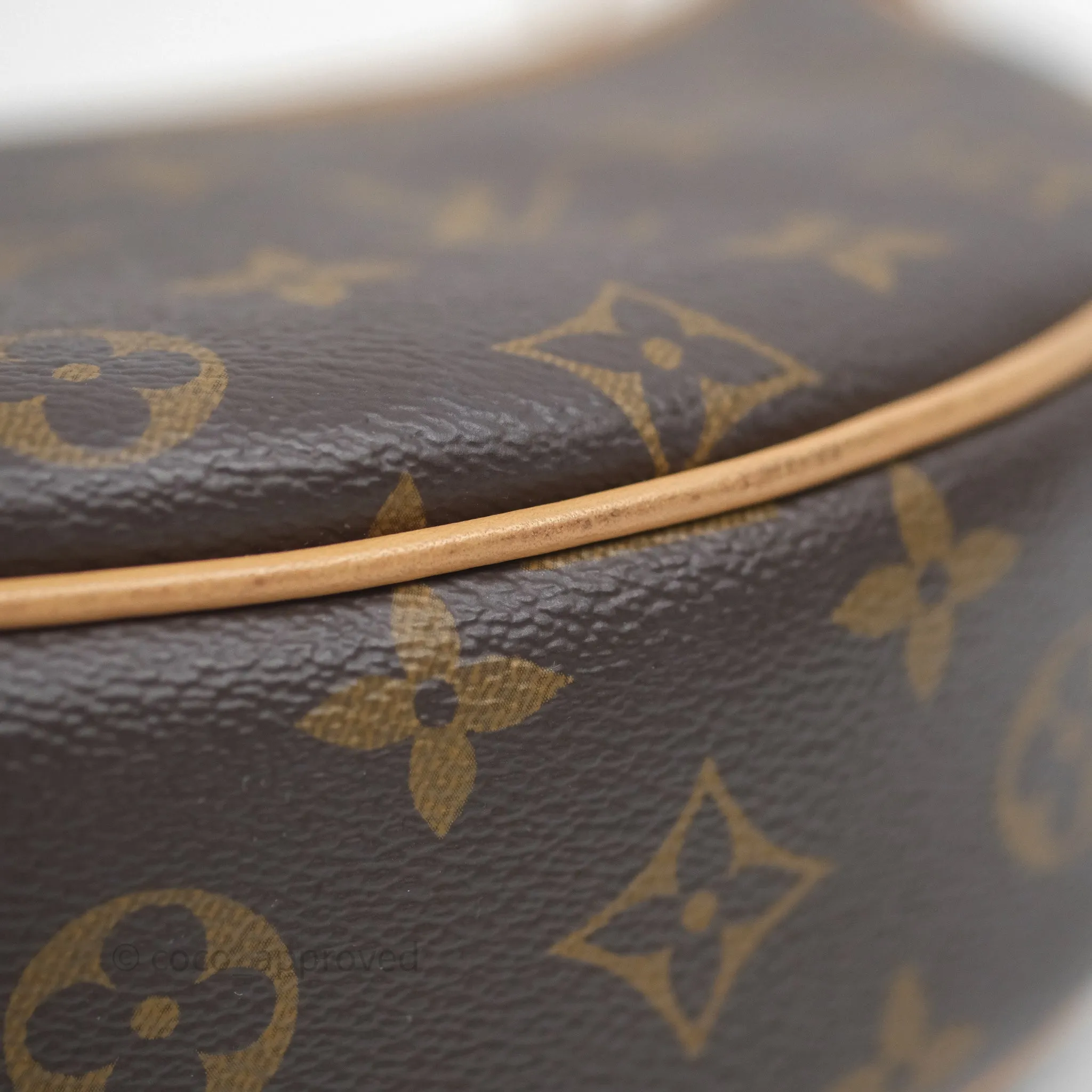 Louis Vuitton Loop Monogram Canvas