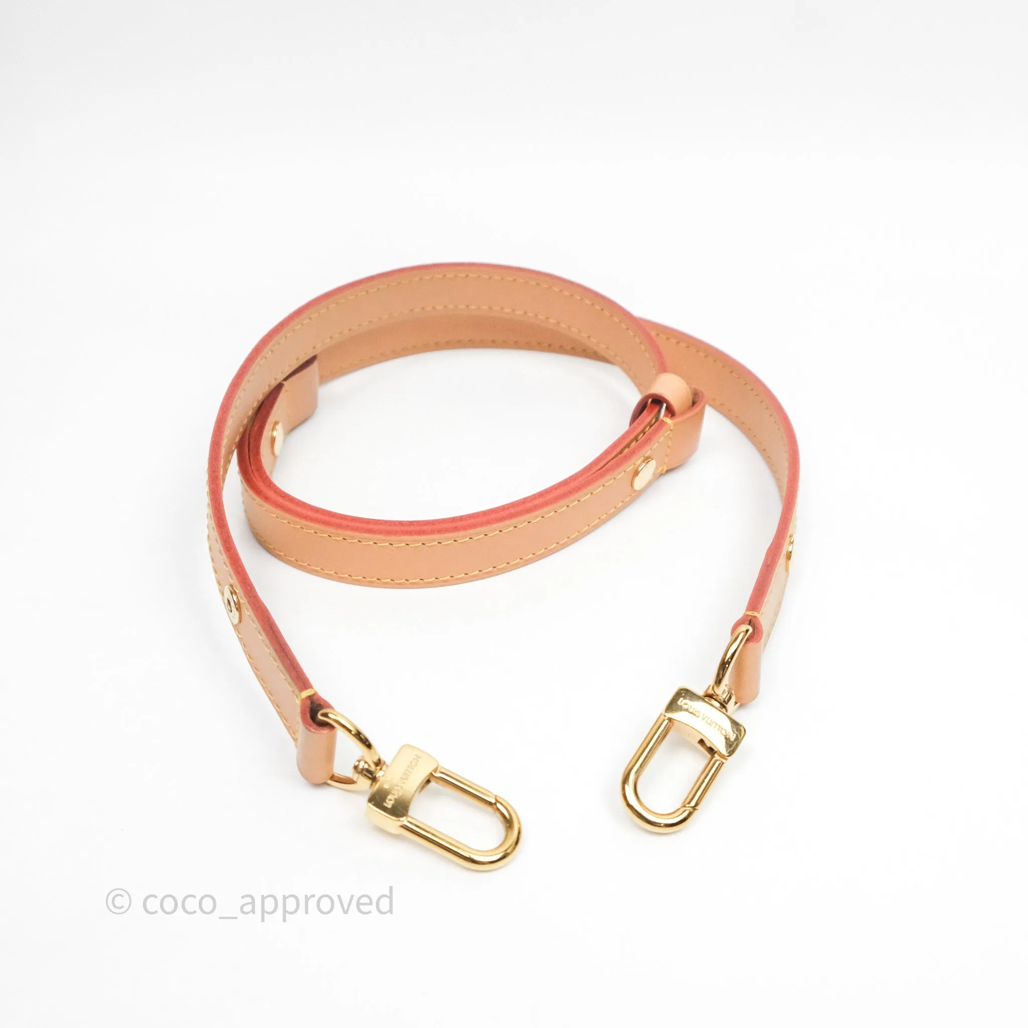 Louis Vuitton Loop Monogram Canvas