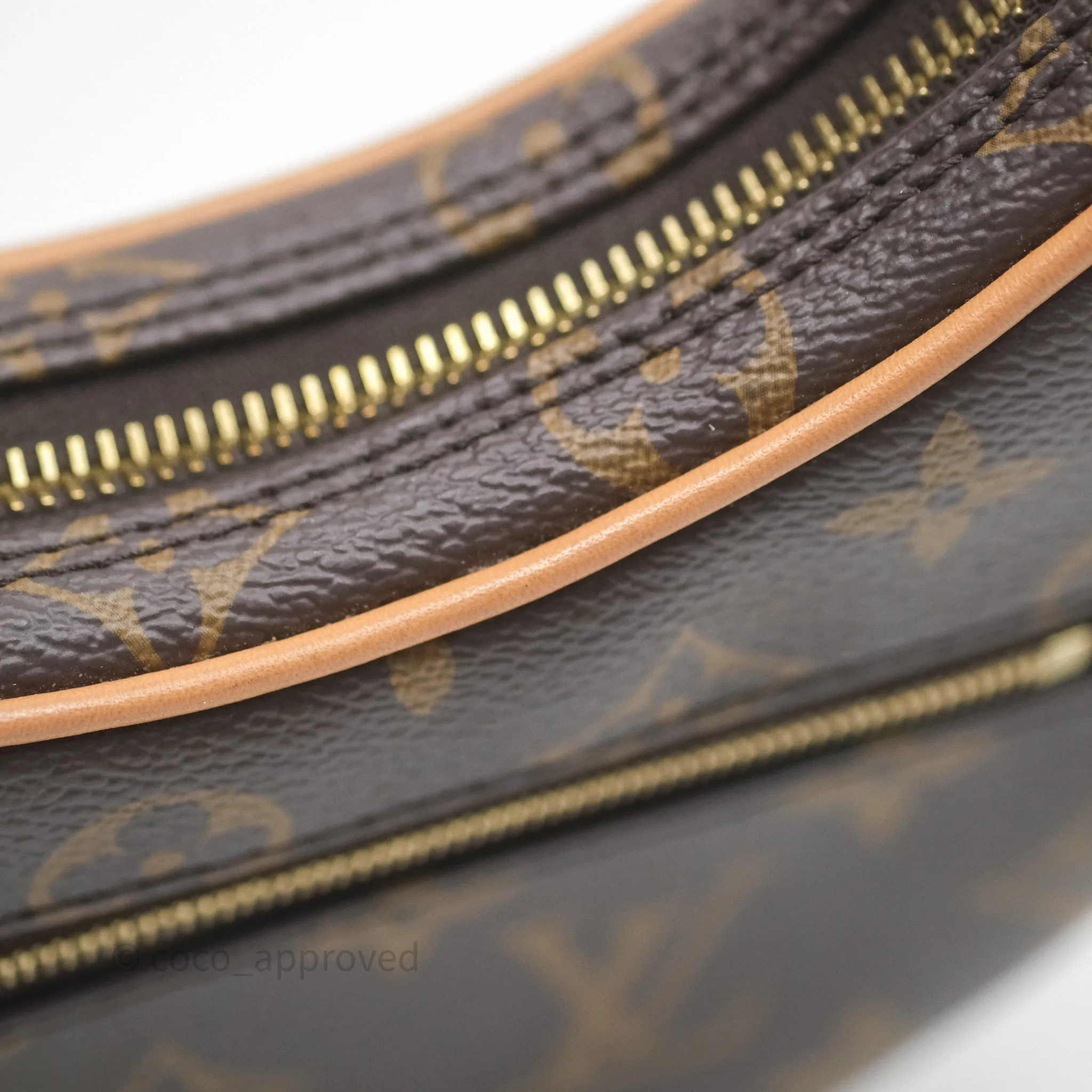 Louis Vuitton Loop Monogram Canvas