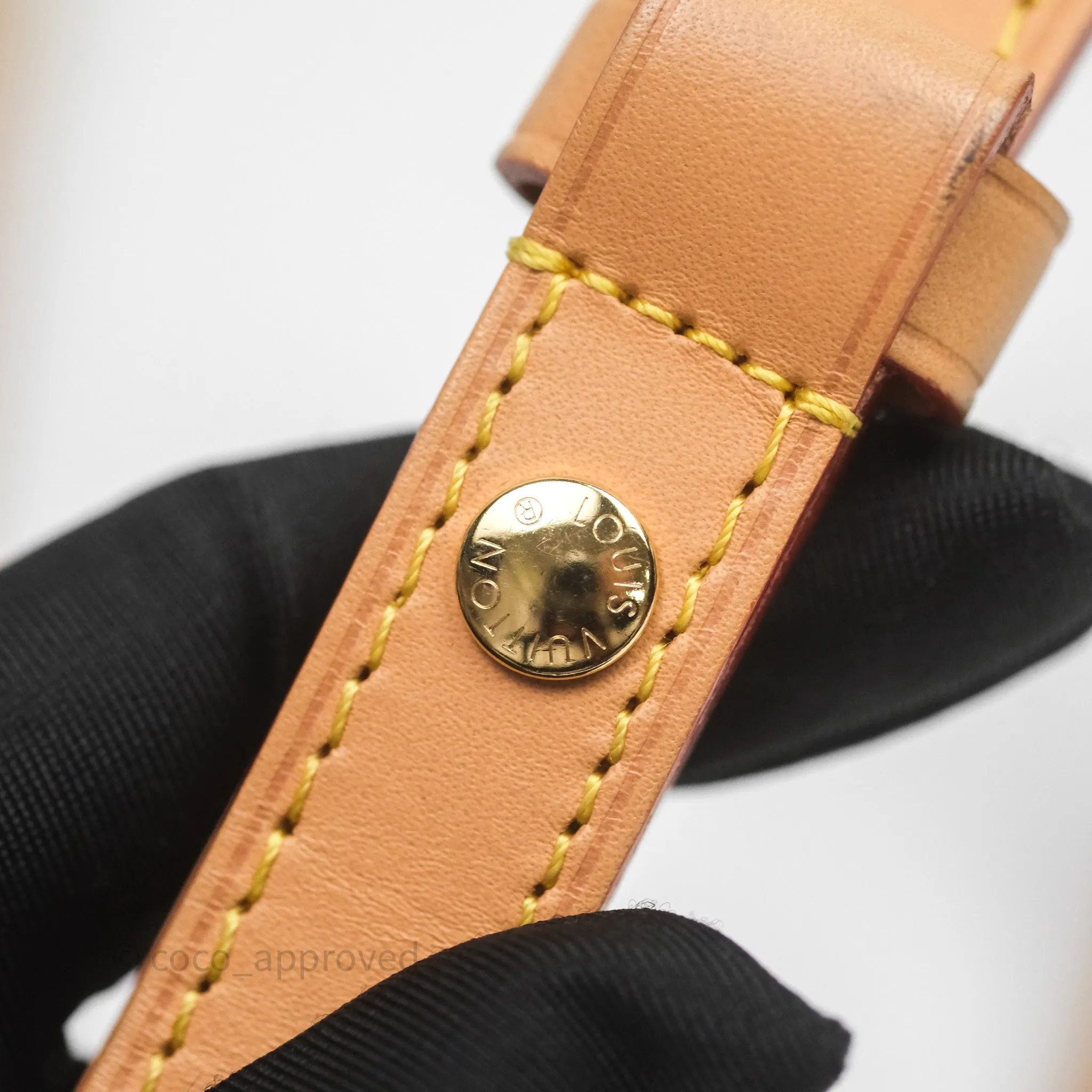 Louis Vuitton Loop Monogram Canvas