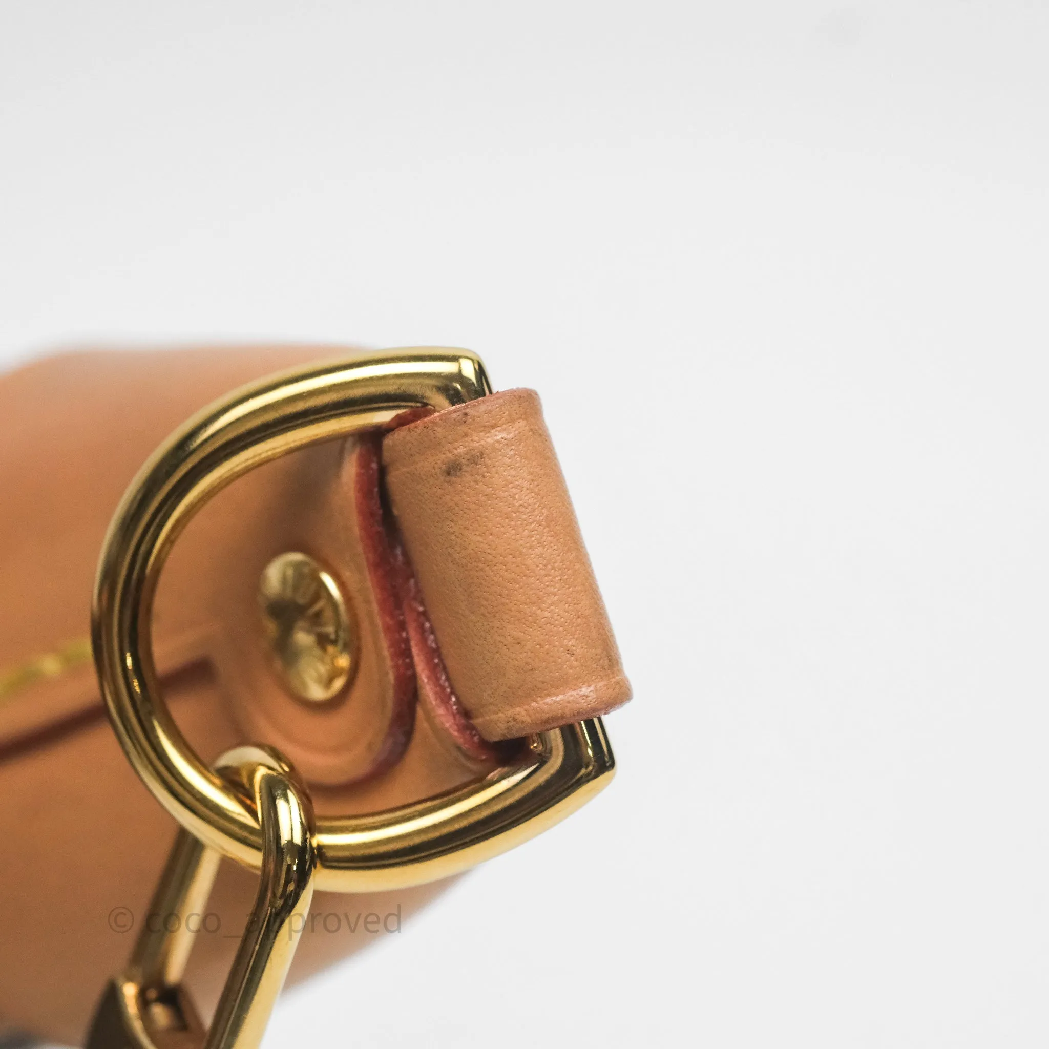 Louis Vuitton Loop Monogram Canvas