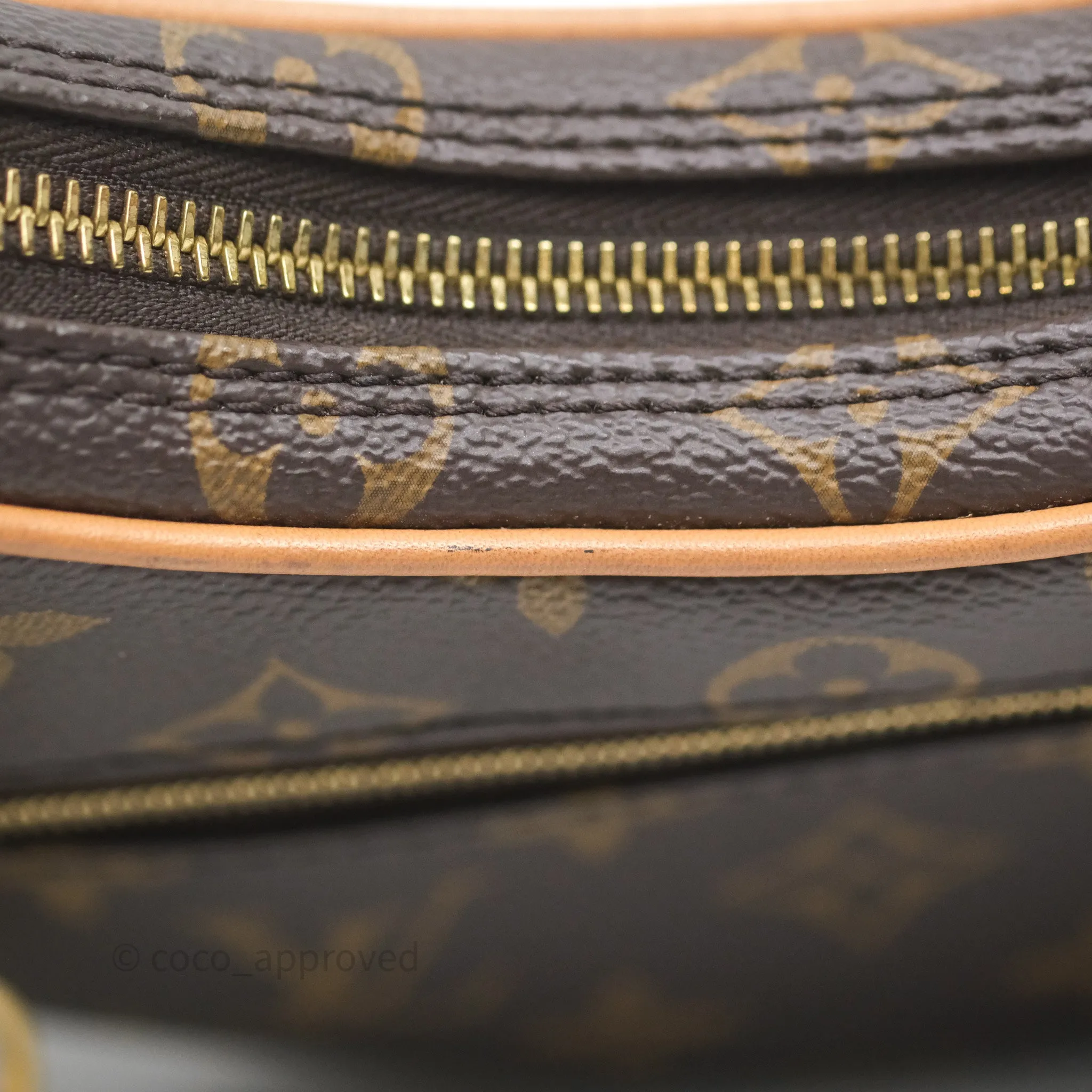 Louis Vuitton Loop Monogram Canvas