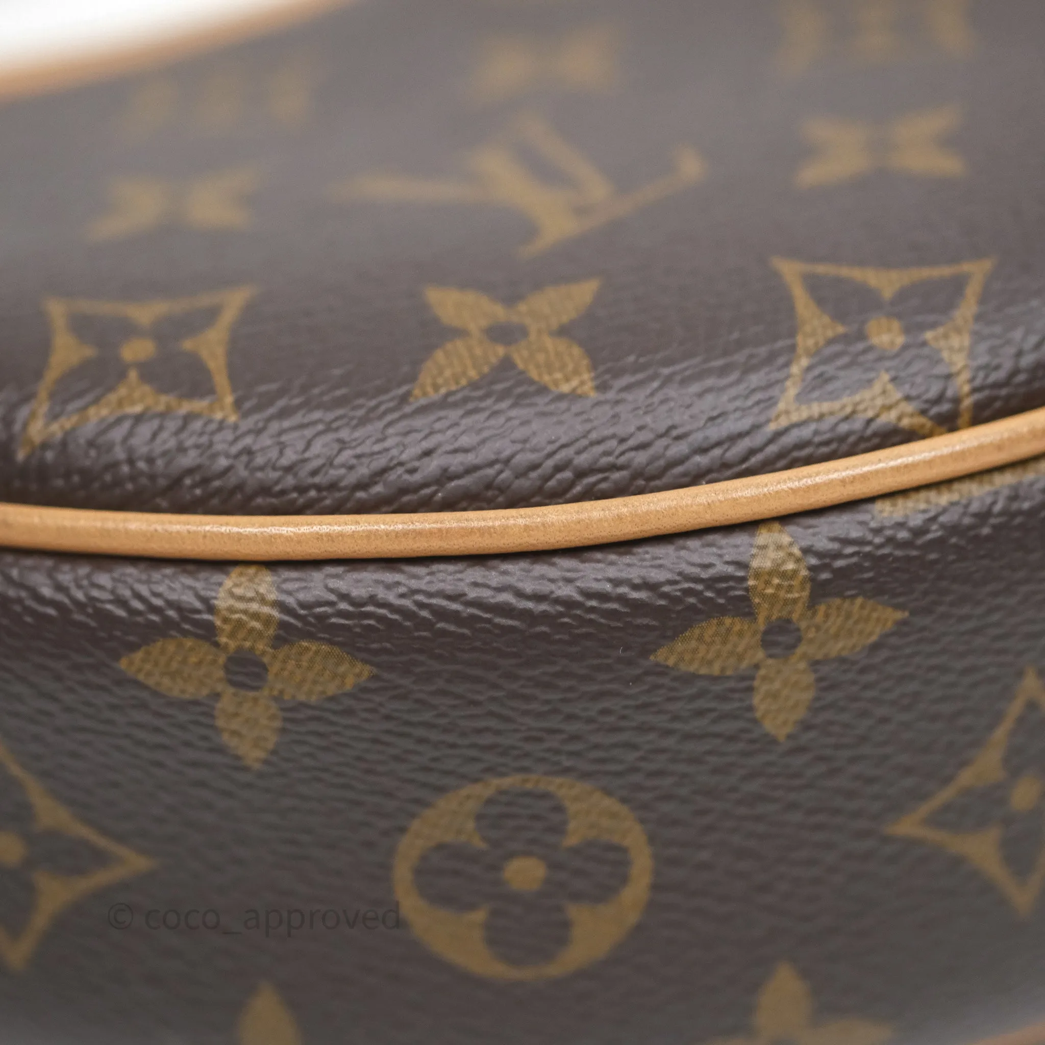 Louis Vuitton Loop Monogram Canvas