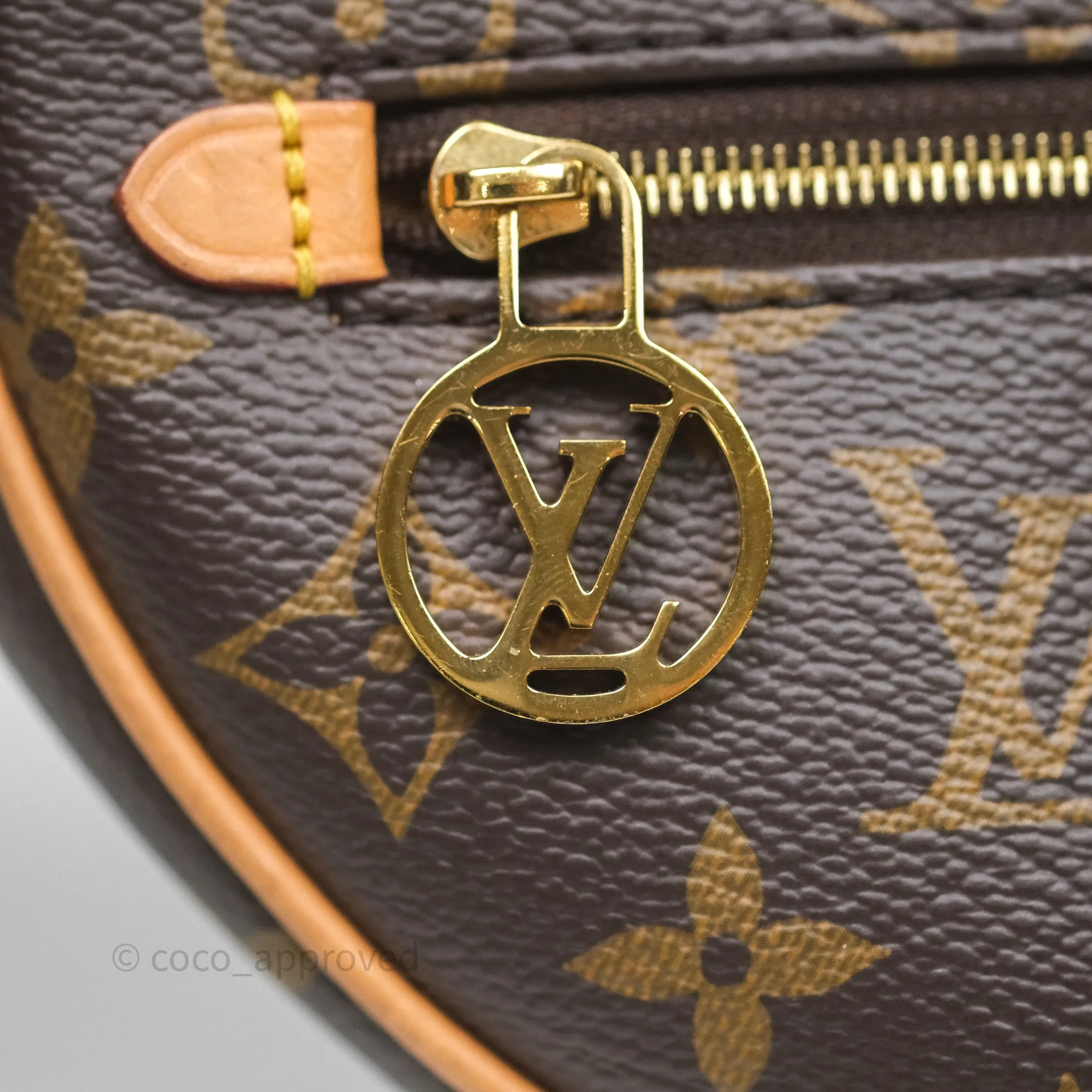 Louis Vuitton Loop Monogram Canvas