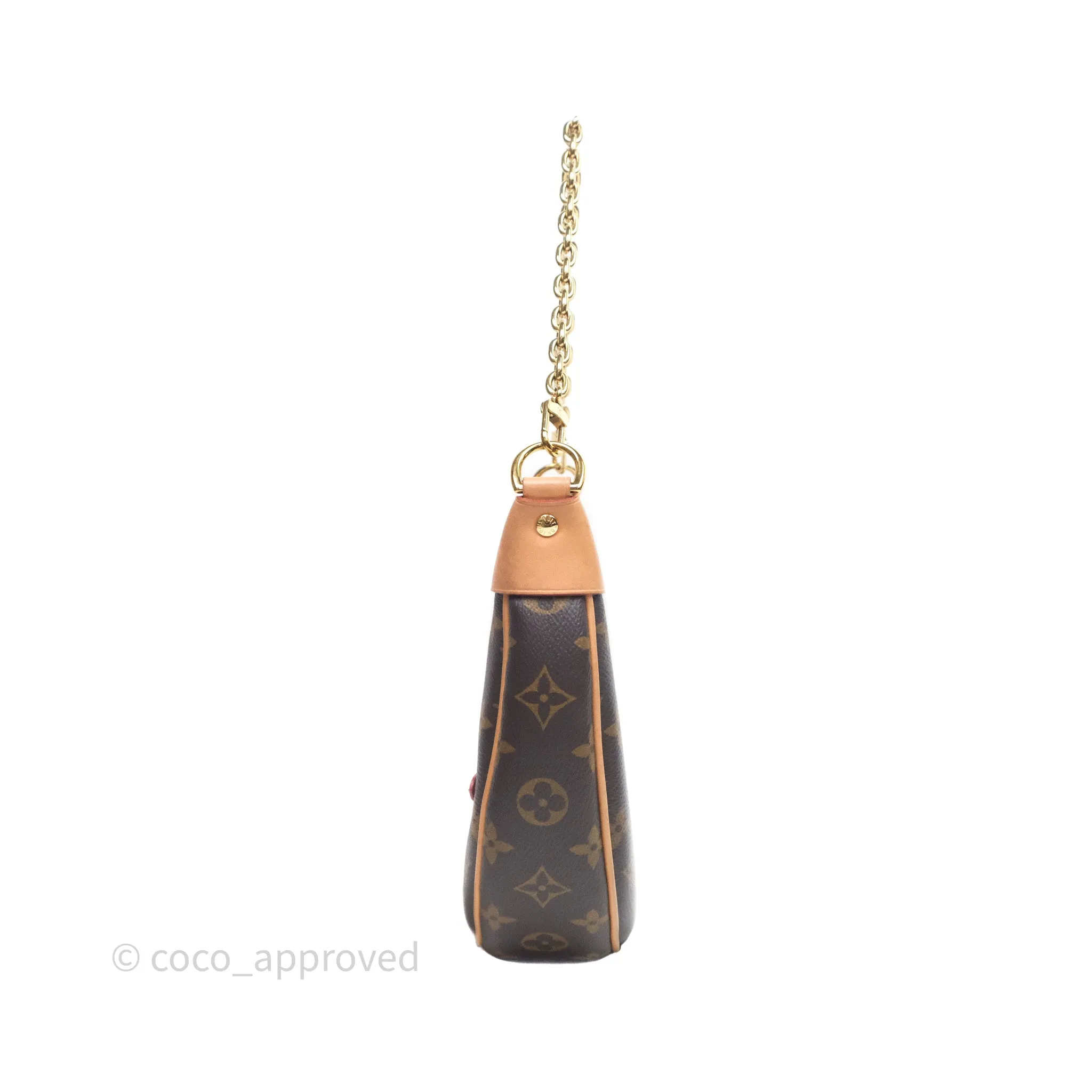 Louis Vuitton Loop Monogram Canvas