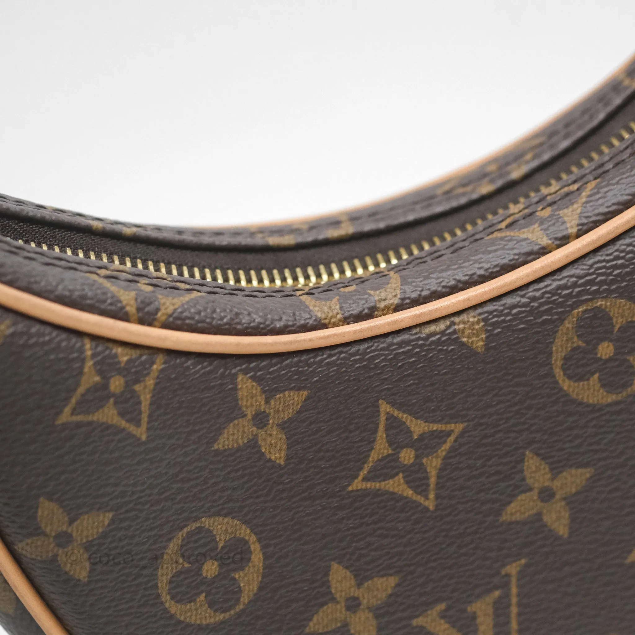 Louis Vuitton Loop Monogram Canvas