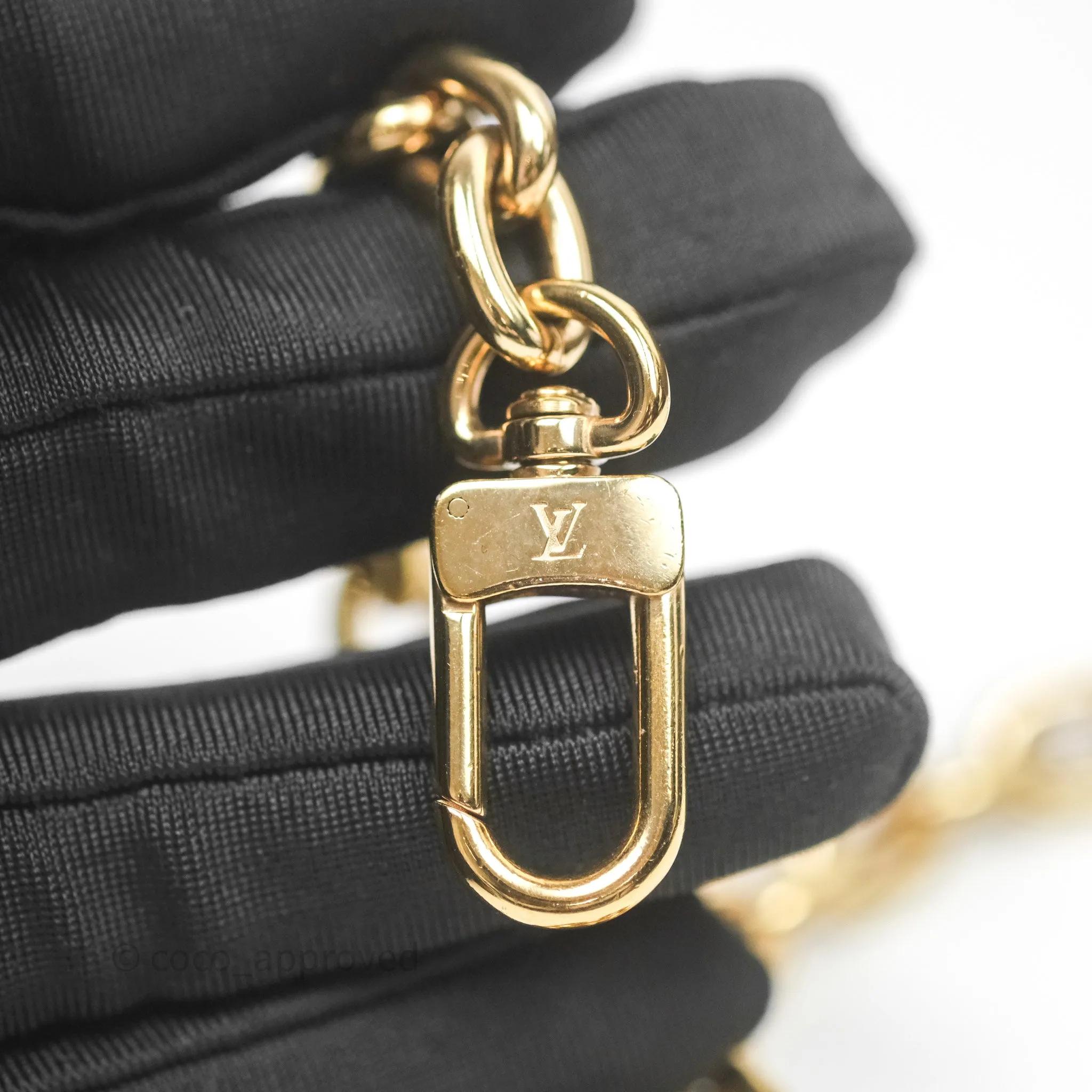 Louis Vuitton Loop Monogram Canvas