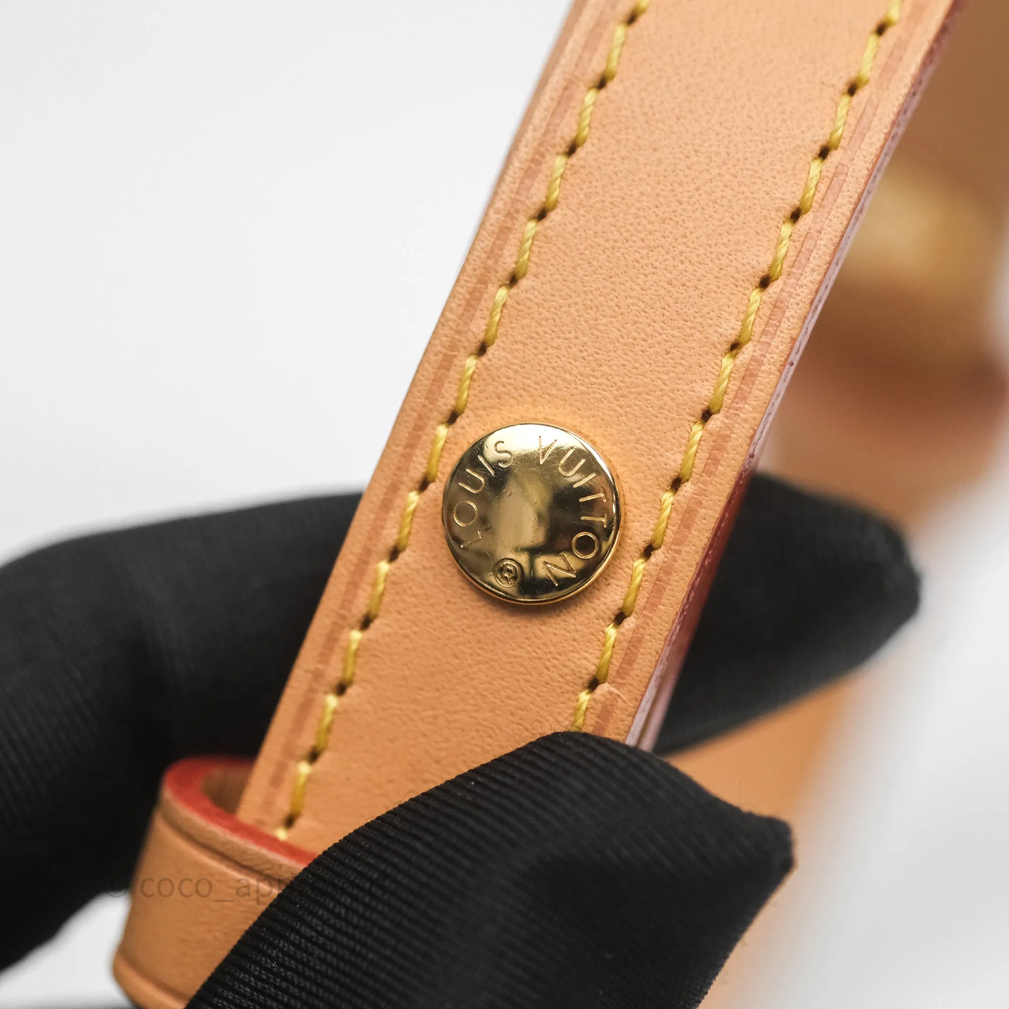 Louis Vuitton Loop Monogram Canvas