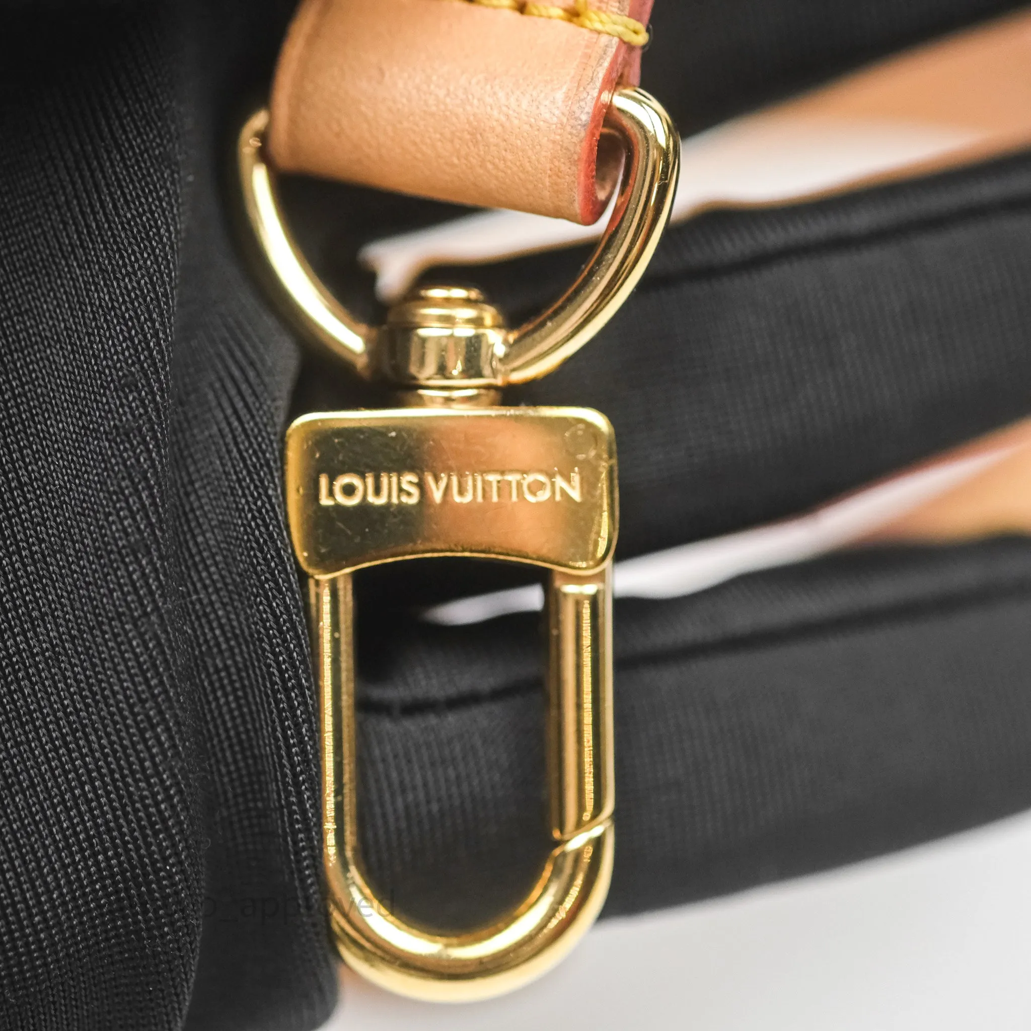 Louis Vuitton Loop Monogram Canvas