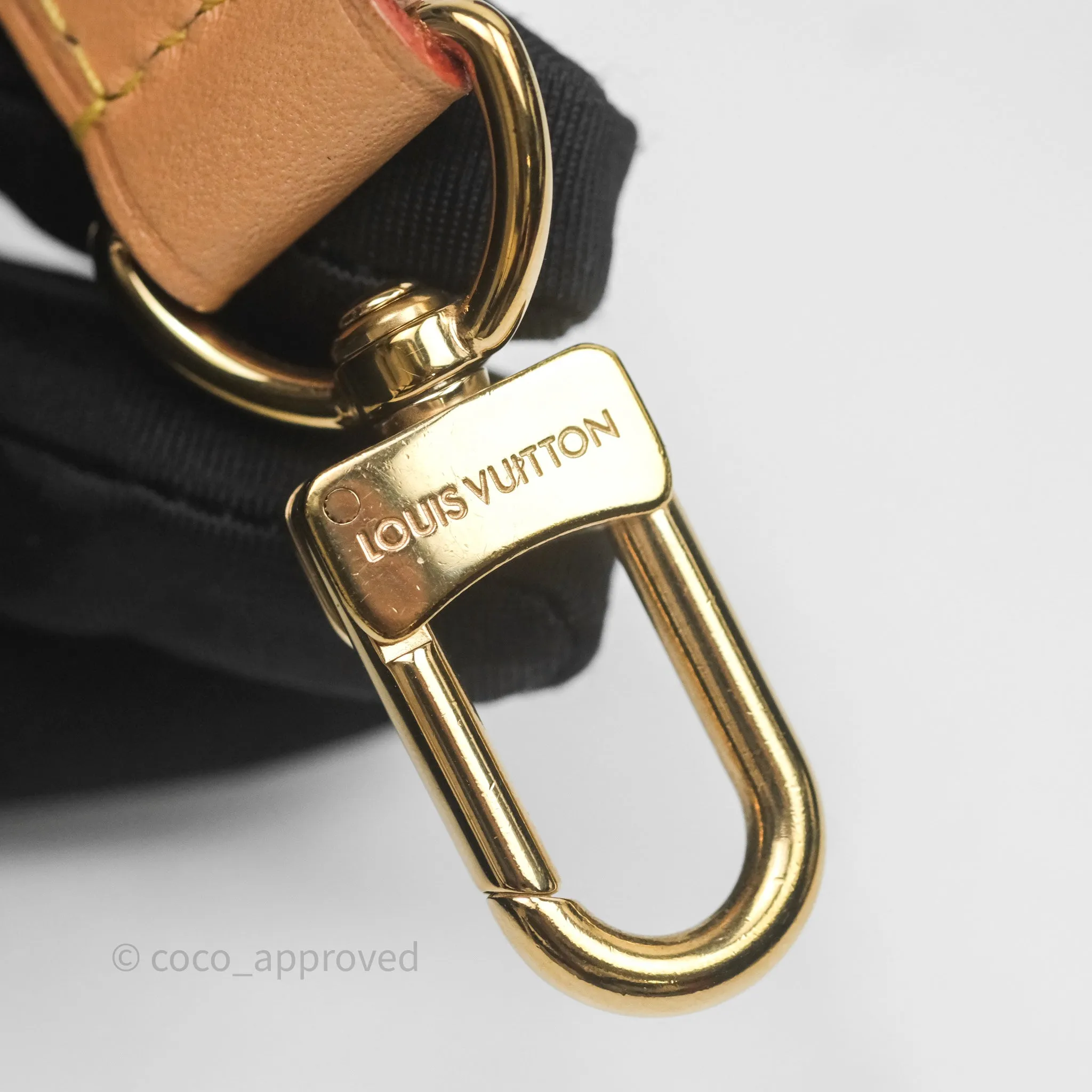 Louis Vuitton Loop Monogram Canvas