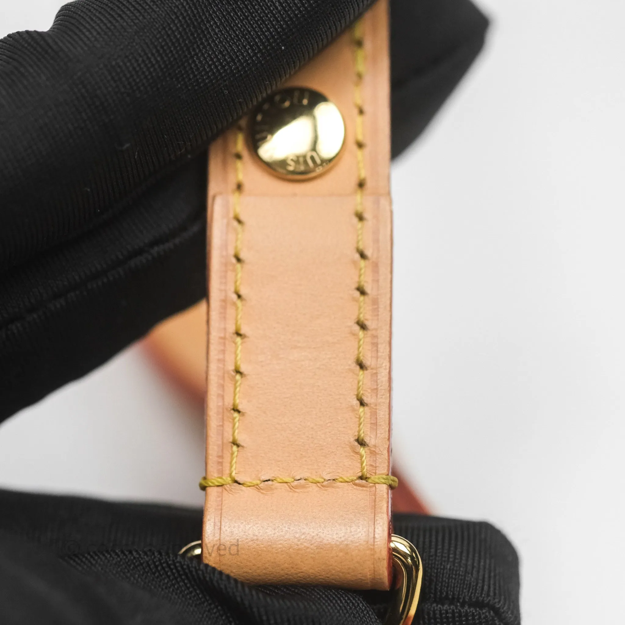 Louis Vuitton Loop Monogram Canvas
