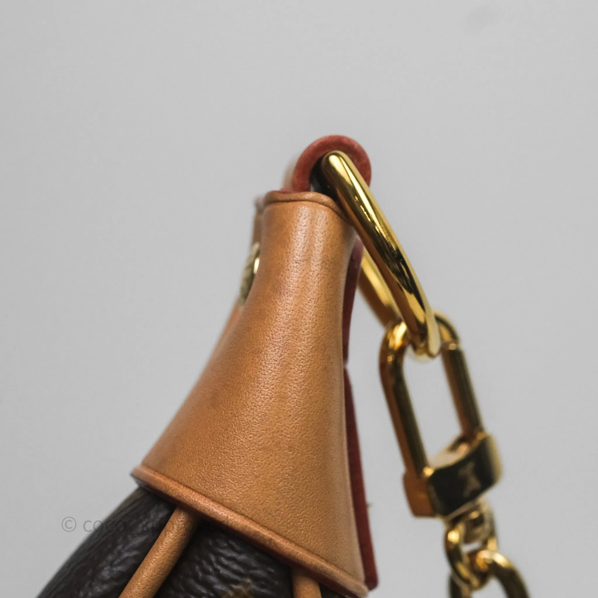 Louis Vuitton Loop Monogram Canvas