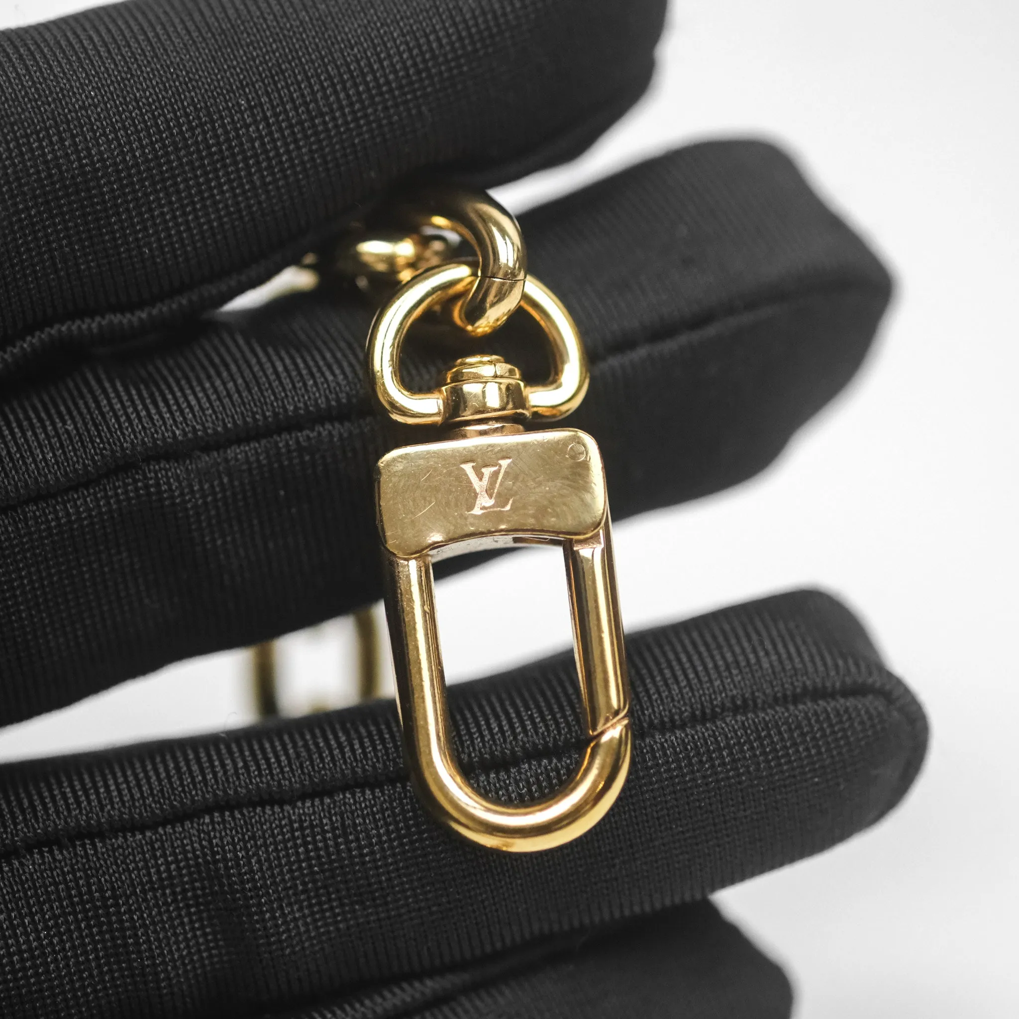 Louis Vuitton Loop Monogram Canvas
