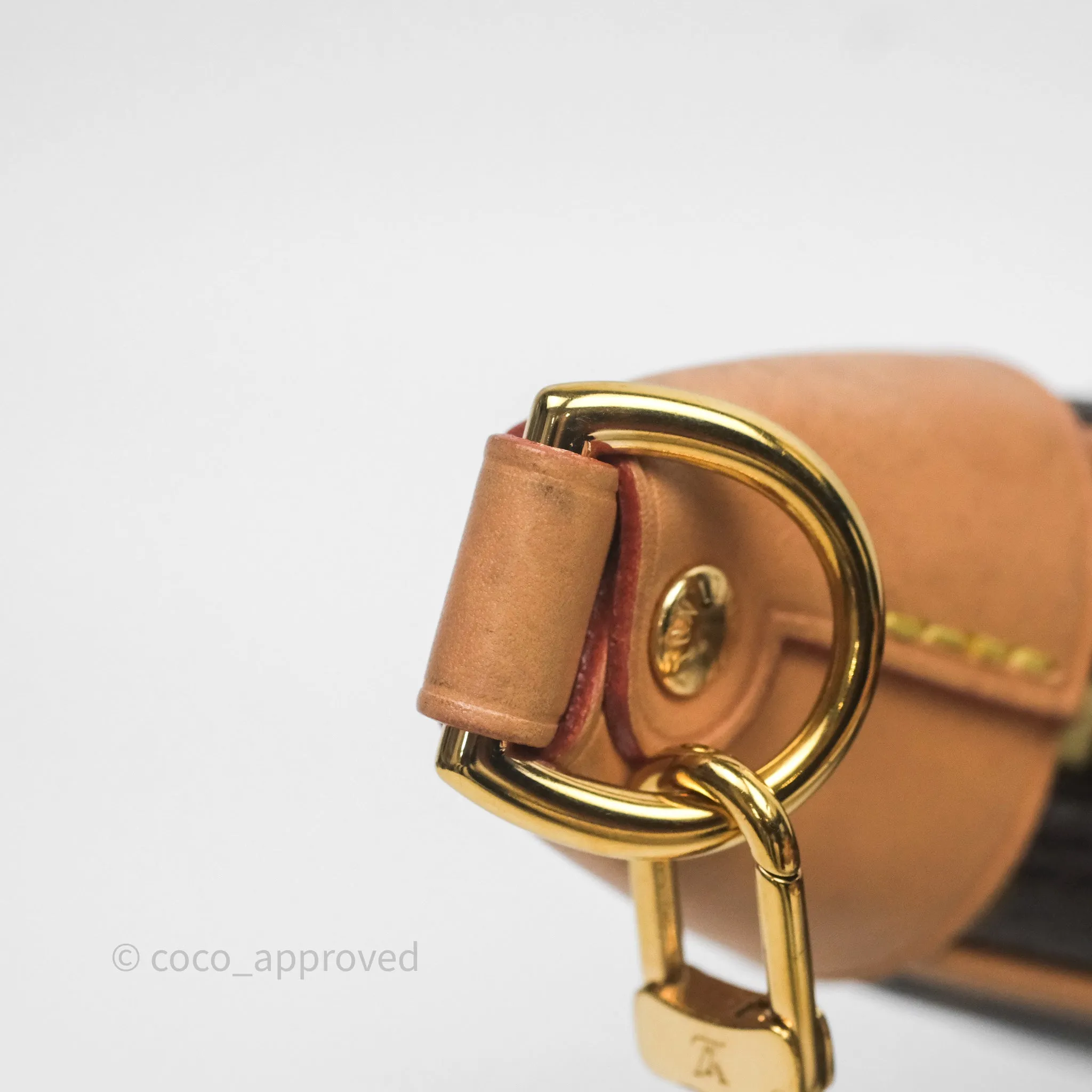 Louis Vuitton Loop Monogram Canvas