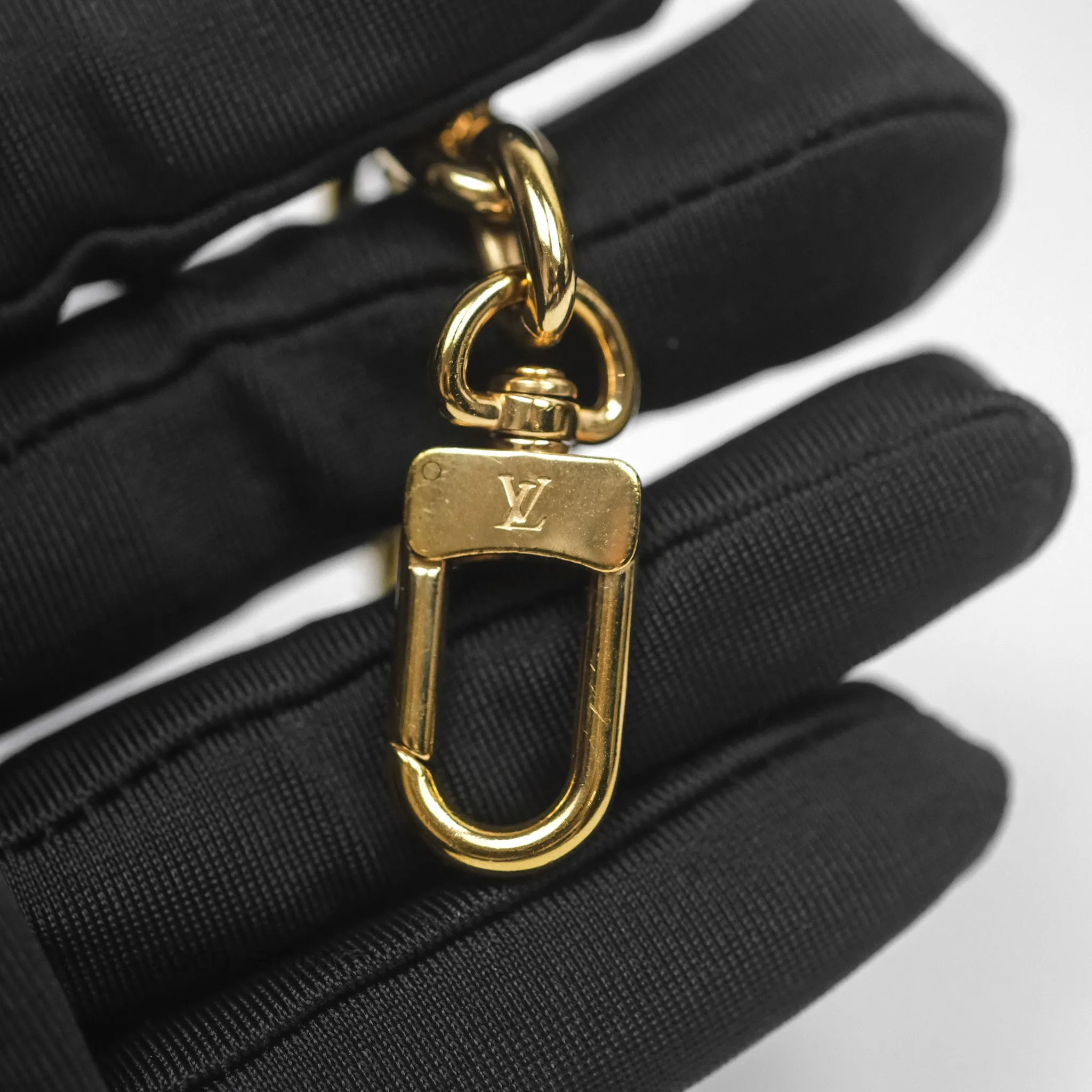 Louis Vuitton Loop Monogram Canvas