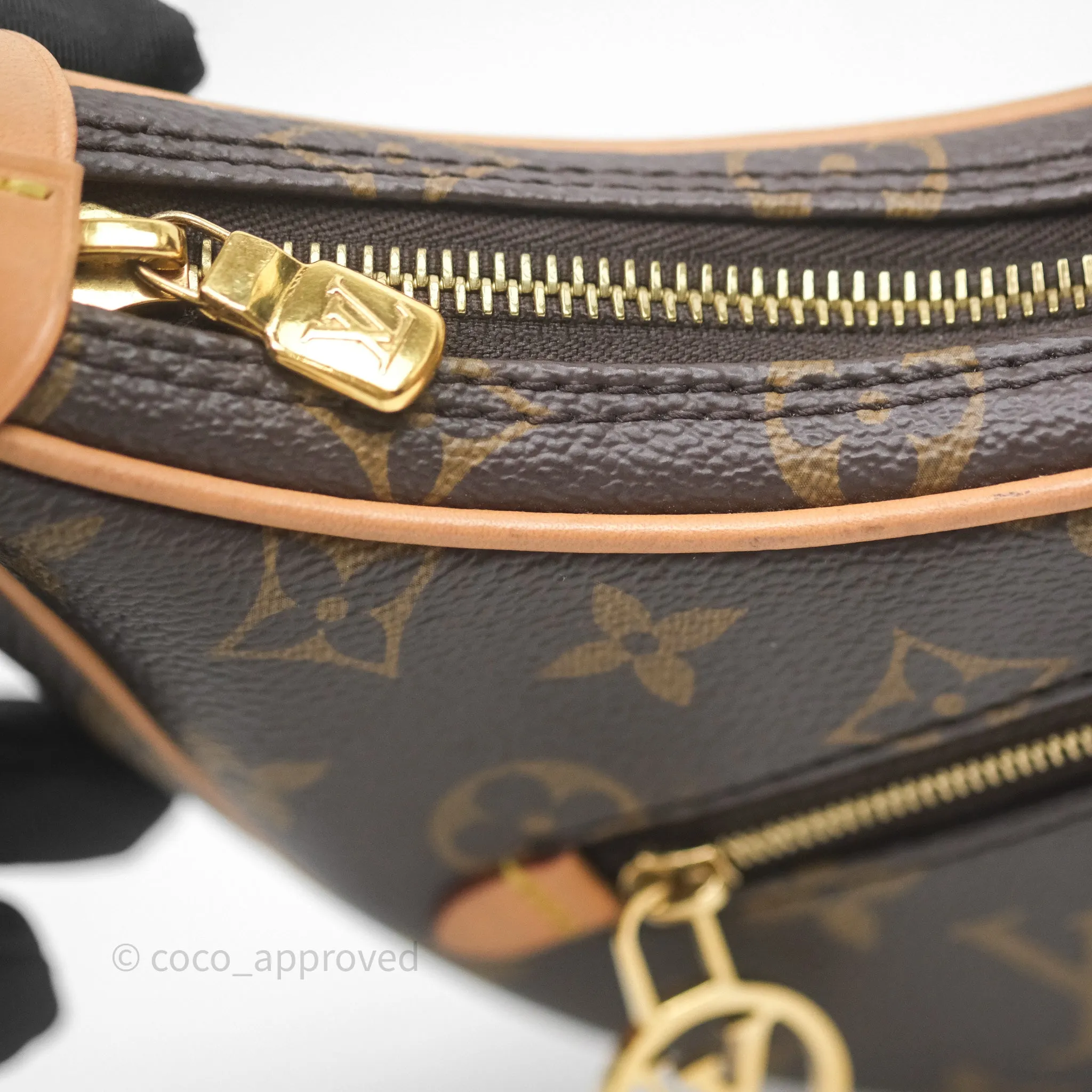 Louis Vuitton Loop Monogram Canvas