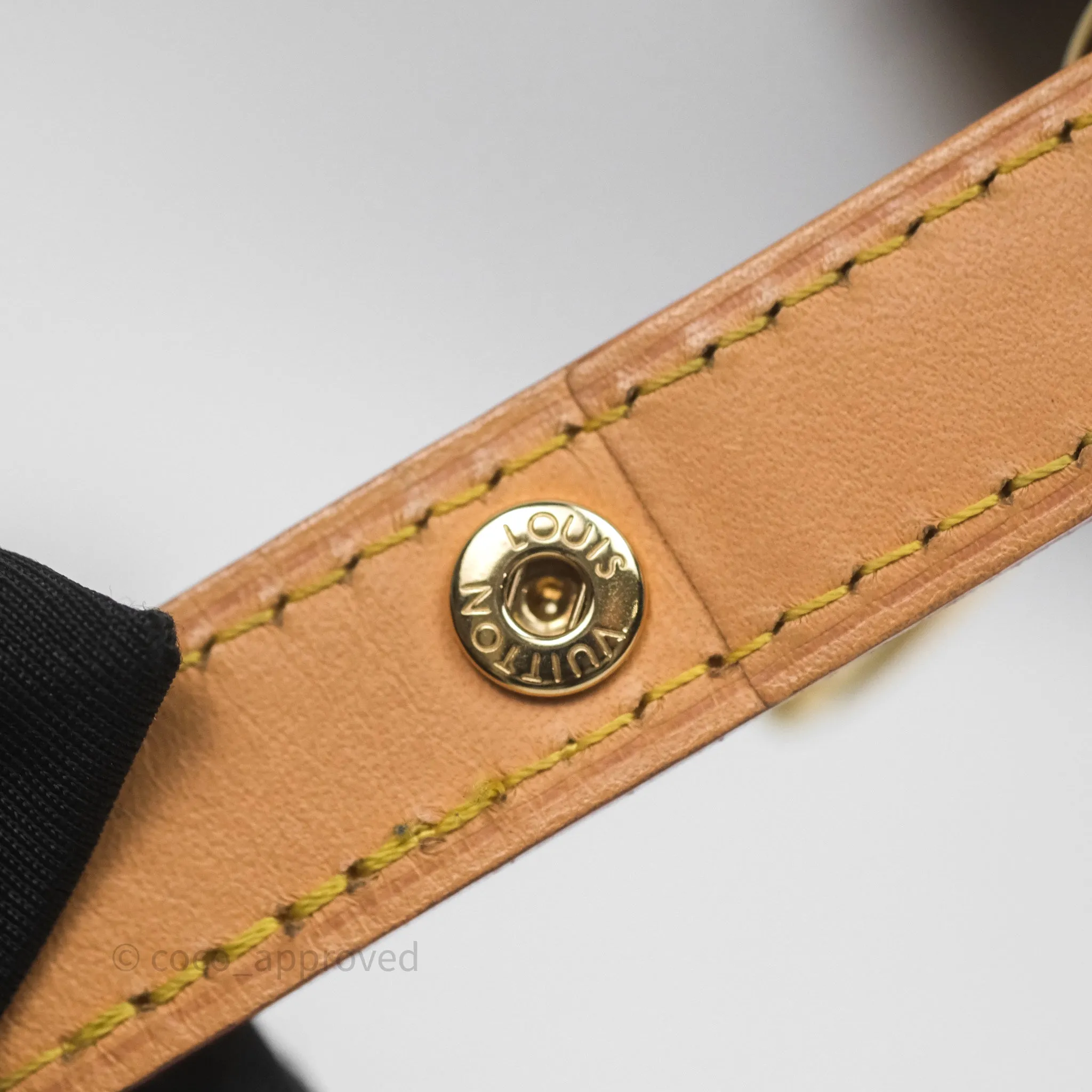 Louis Vuitton Loop Monogram Canvas