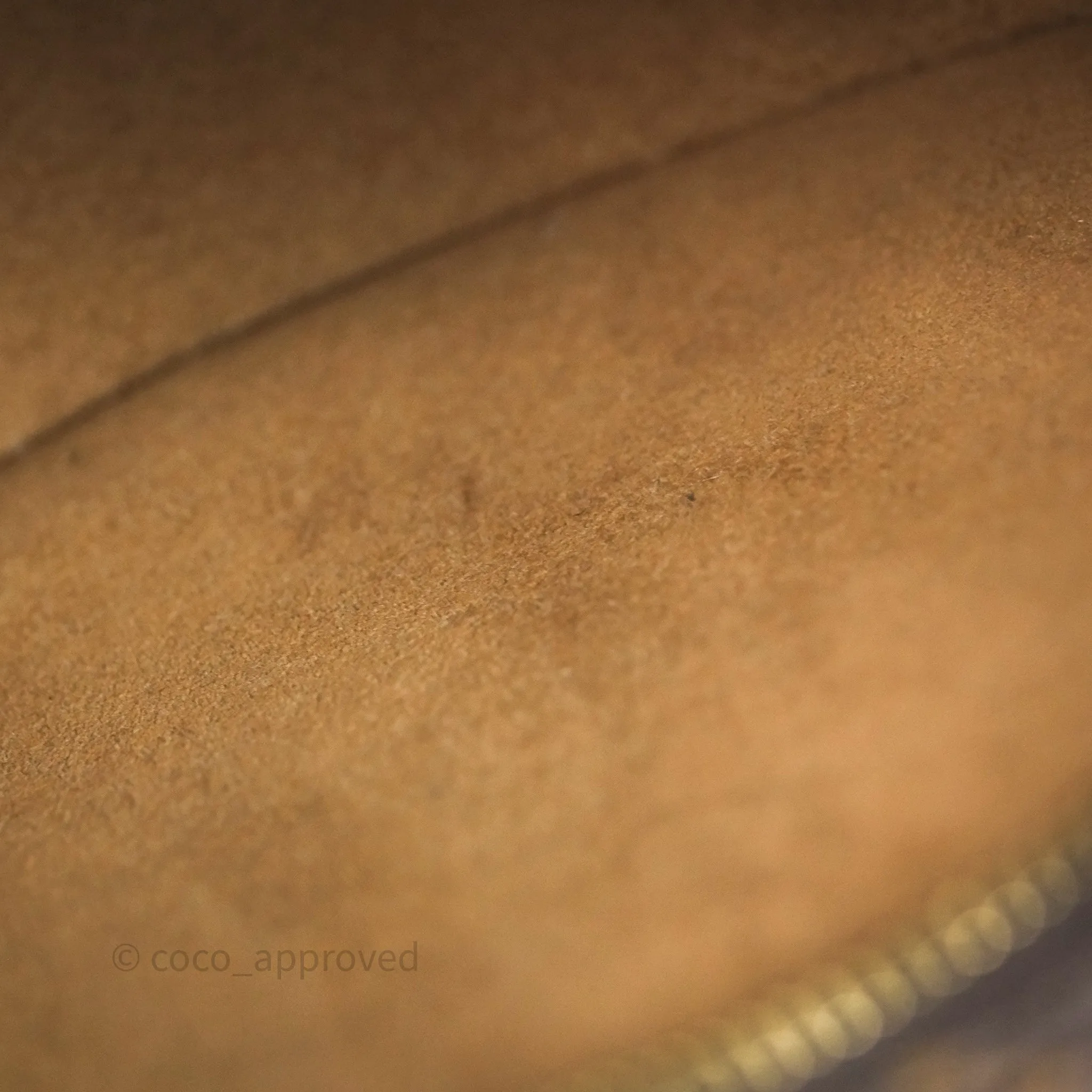 Louis Vuitton Loop Monogram Canvas