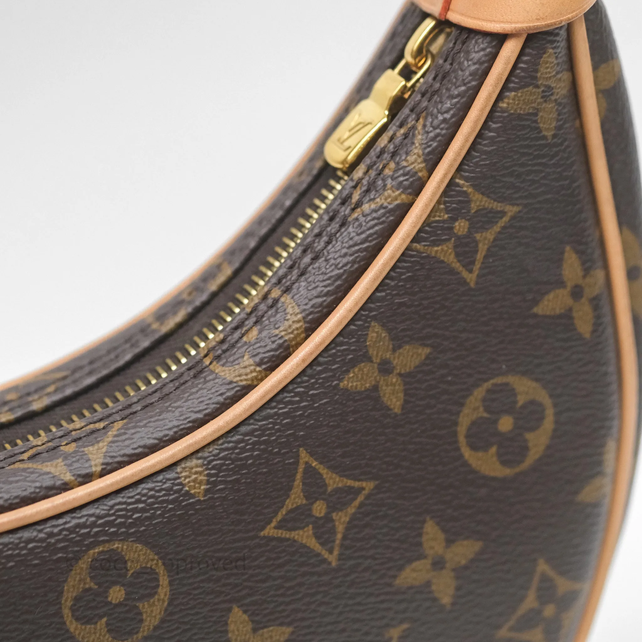 Louis Vuitton Loop Monogram Canvas