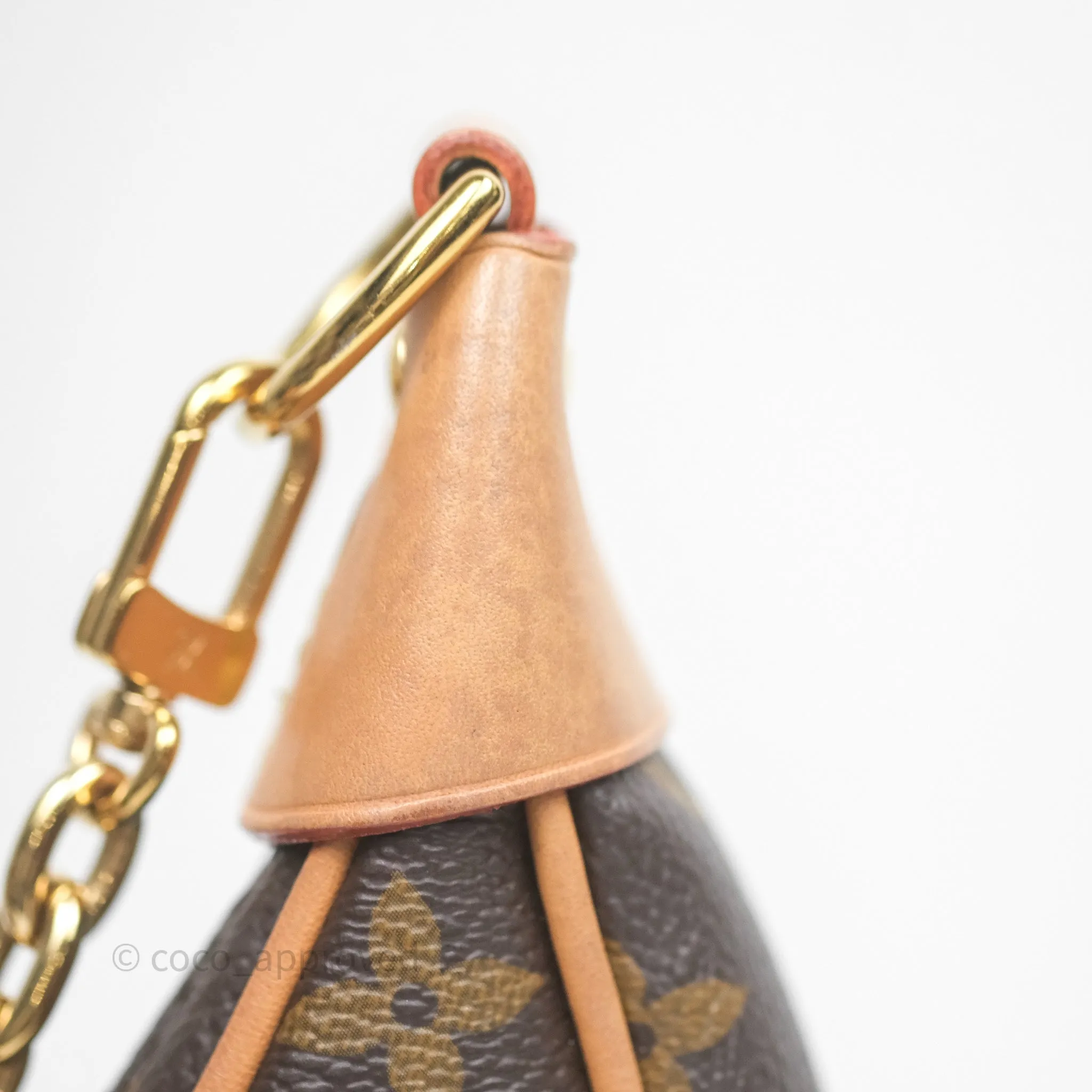Louis Vuitton Loop Monogram Canvas