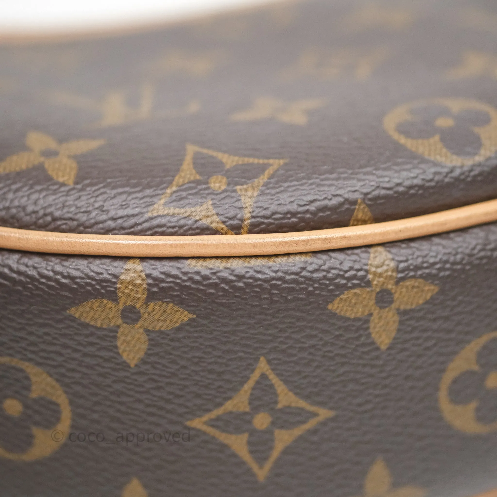 Louis Vuitton Loop Monogram Canvas