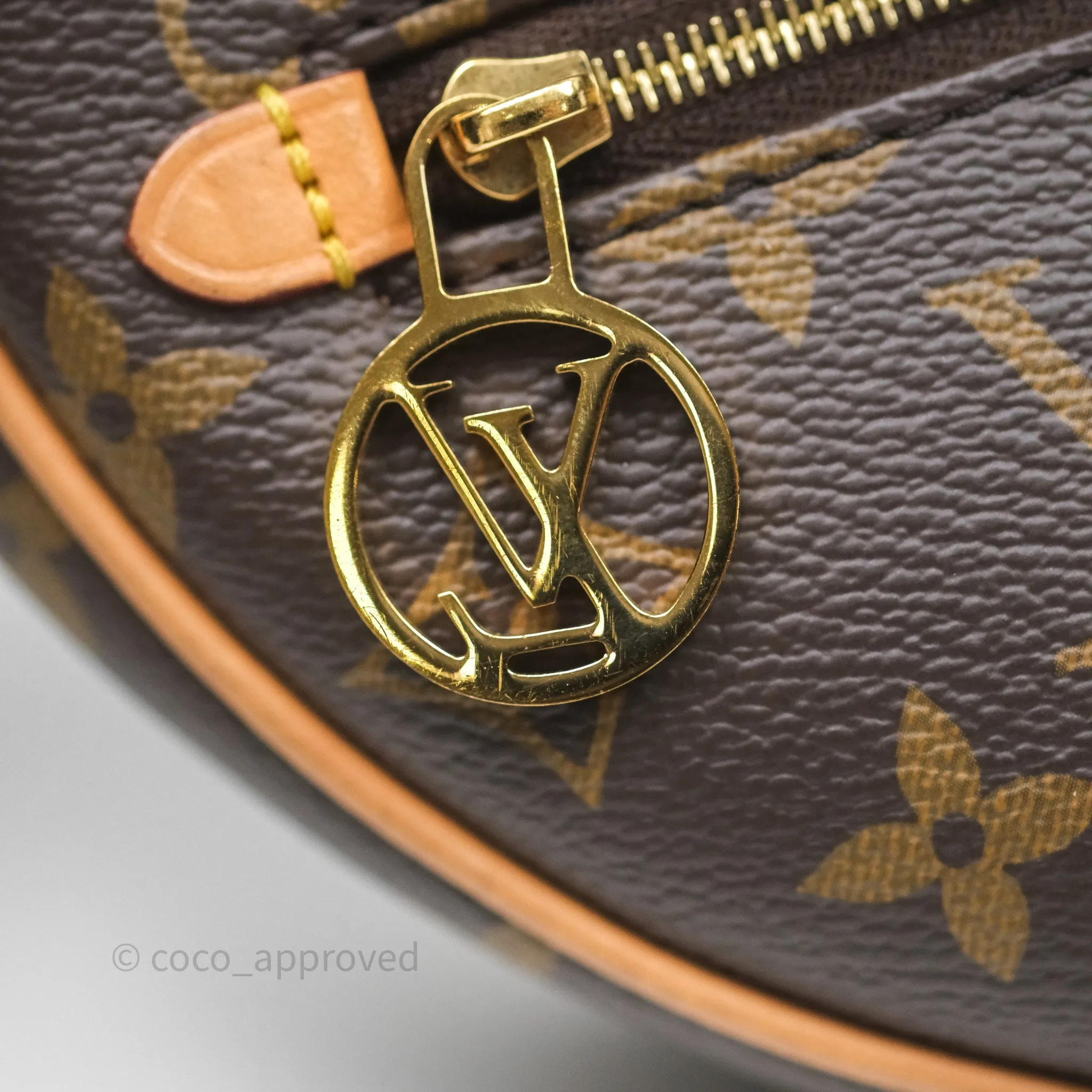 Louis Vuitton Loop Monogram Canvas