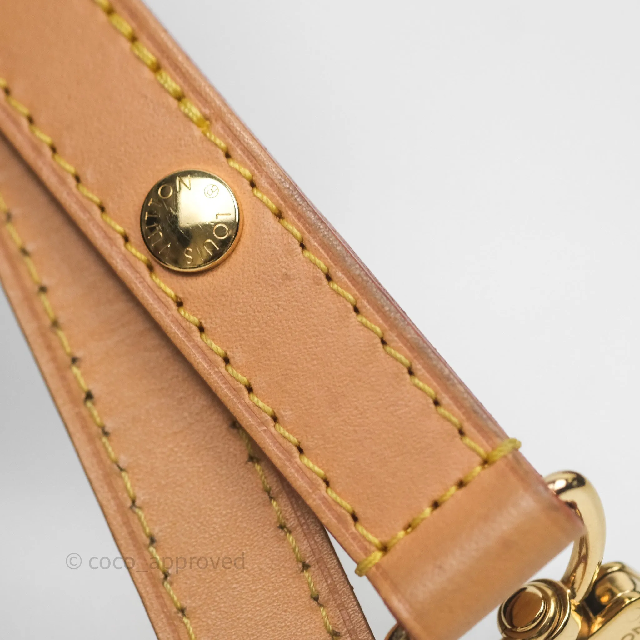 Louis Vuitton Loop Monogram Canvas